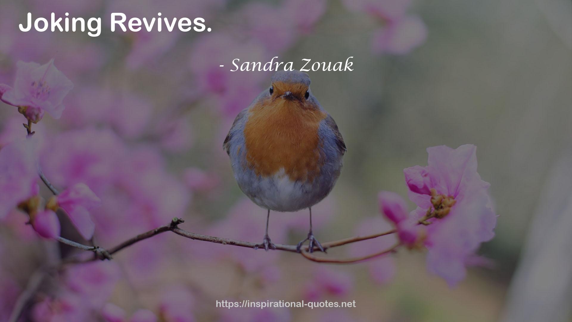 Sandra Zouak QUOTES