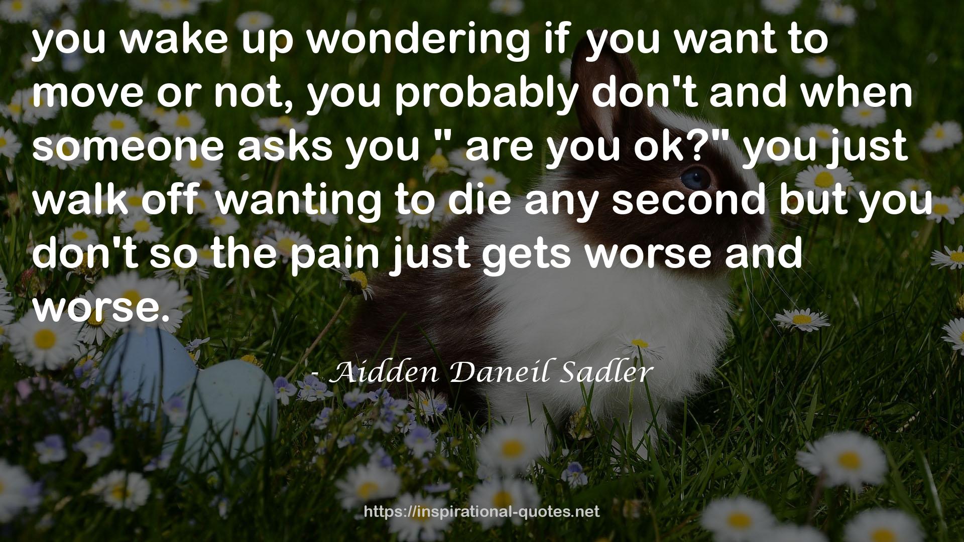 Aidden Daneil Sadler QUOTES