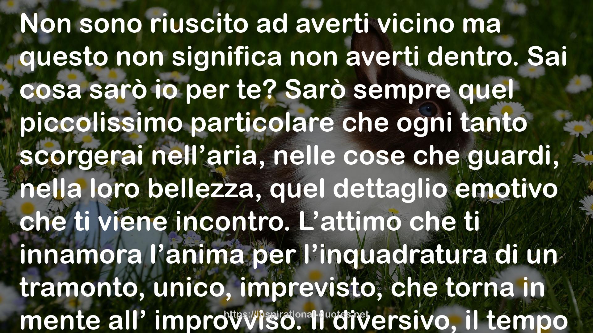 Massimo Bisotti QUOTES