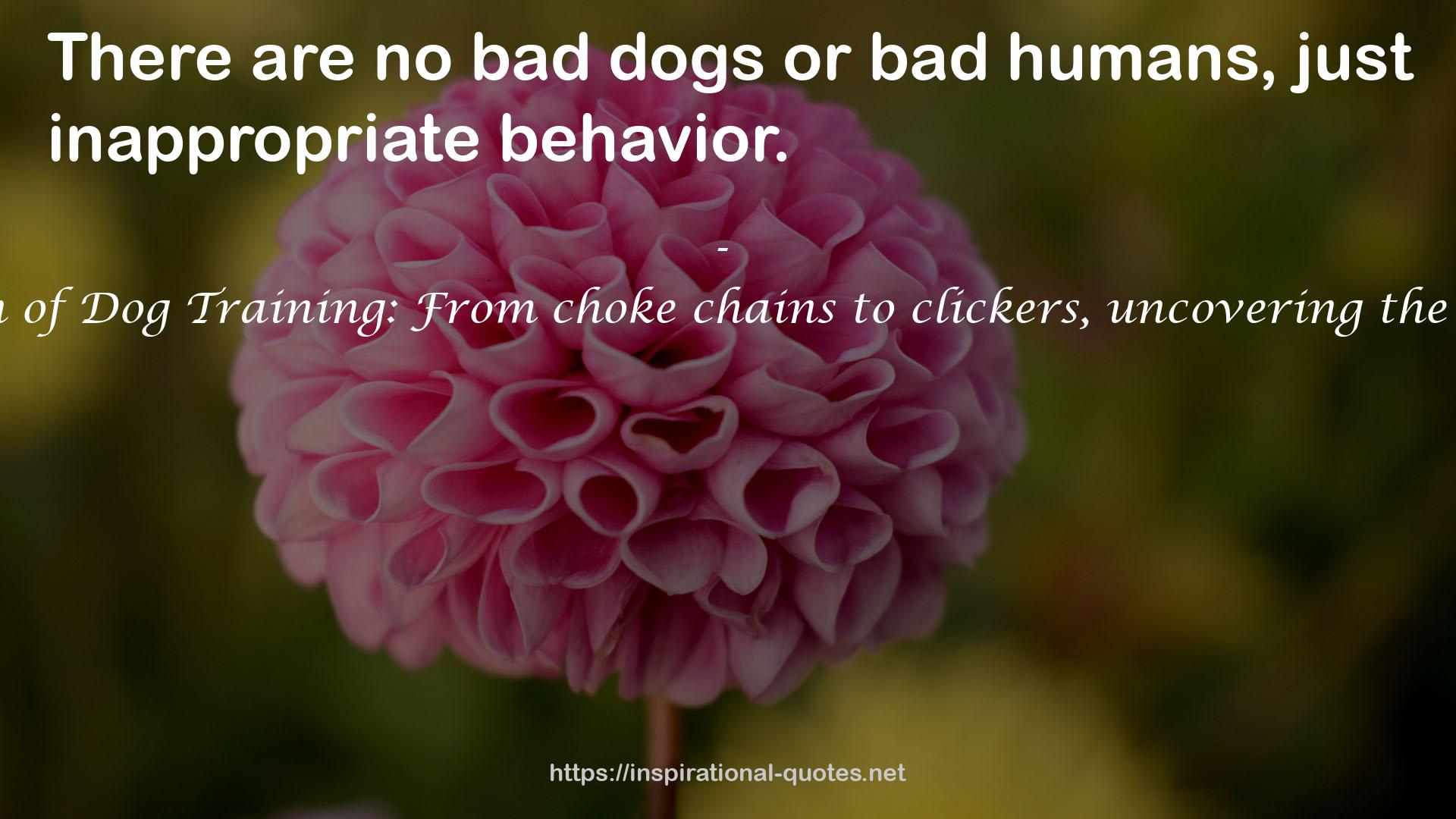 Shannon Riley-Coyner The Evolution of Dog Training: From choke chains to clickers, uncovering the secrets to having a well behaved dog QUOTES