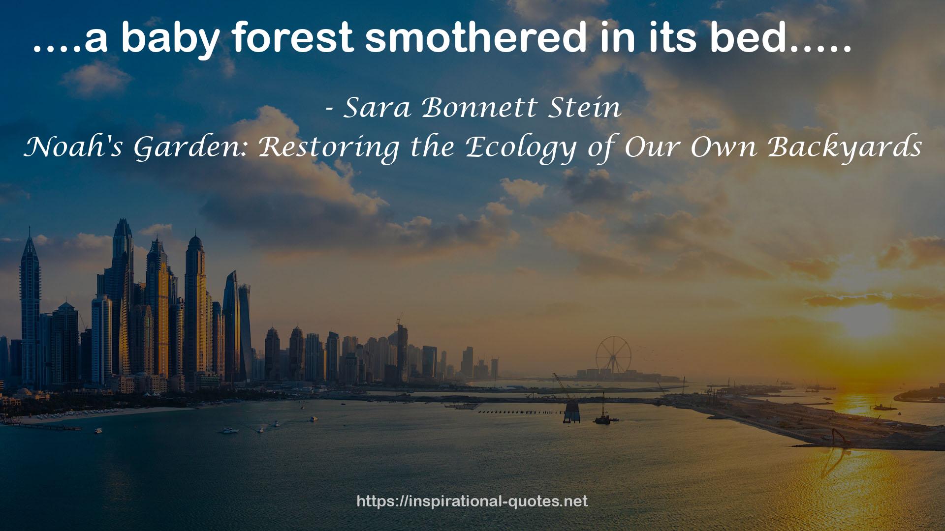 Sara Bonnett Stein QUOTES