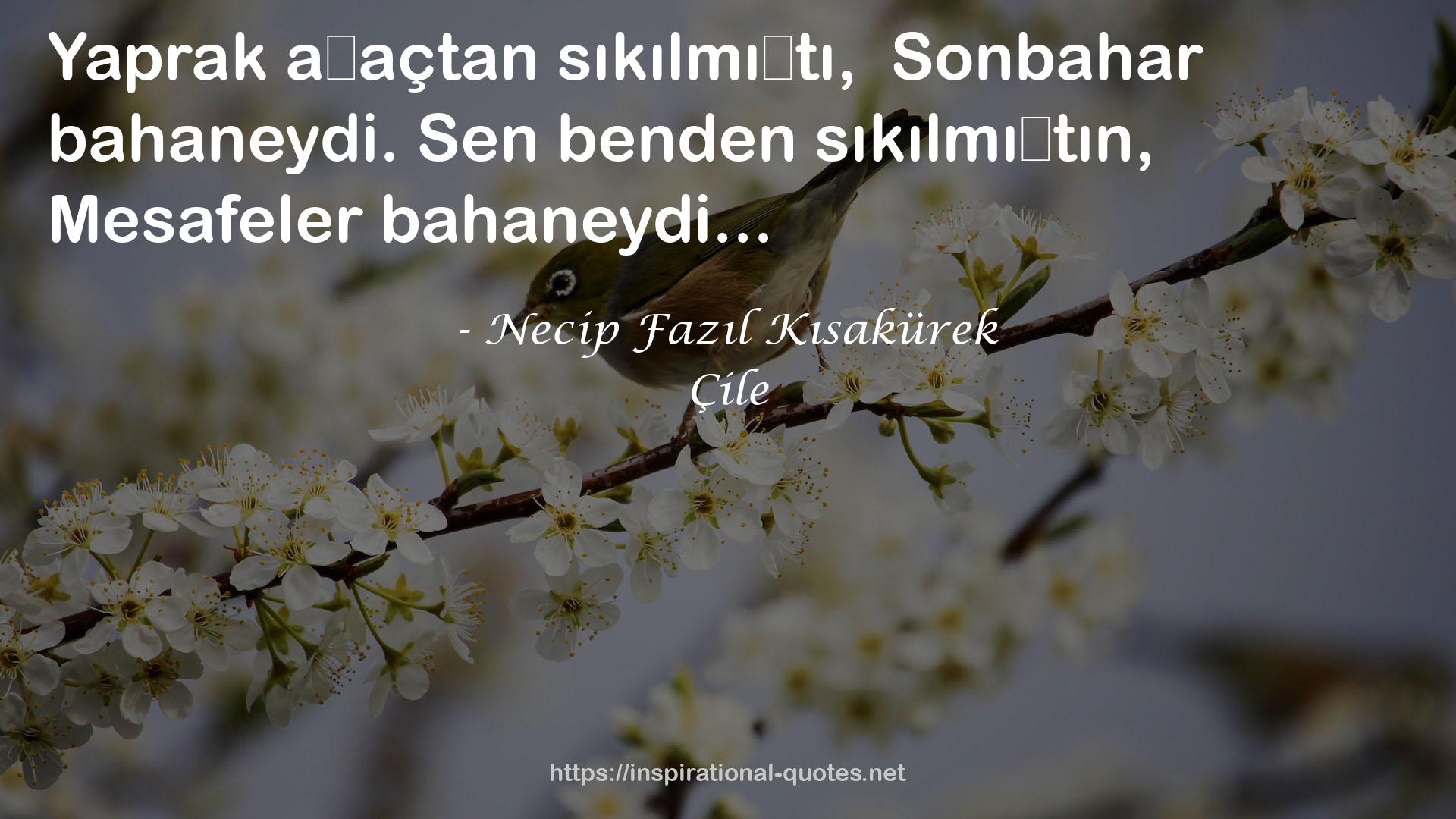 Çile QUOTES