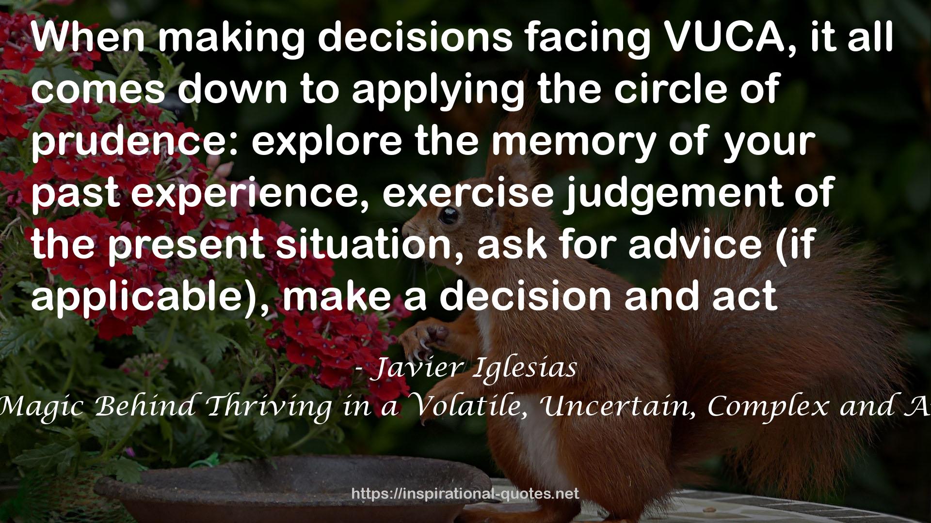 Mindset Wizardry - The Magic Behind Thriving in a Volatile, Uncertain, Complex and Ambiguous (VUCA) World QUOTES