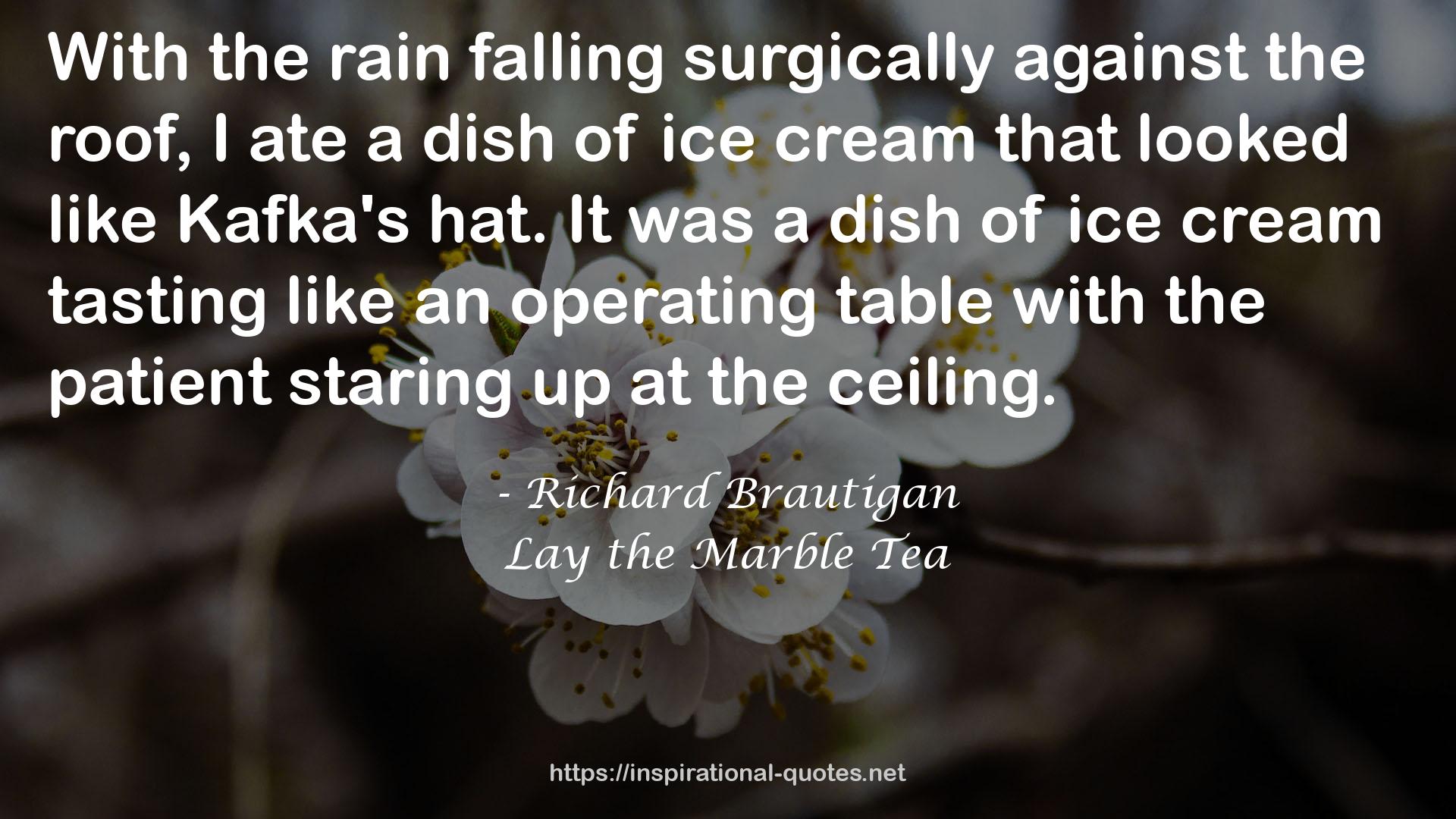 Richard Brautigan QUOTES