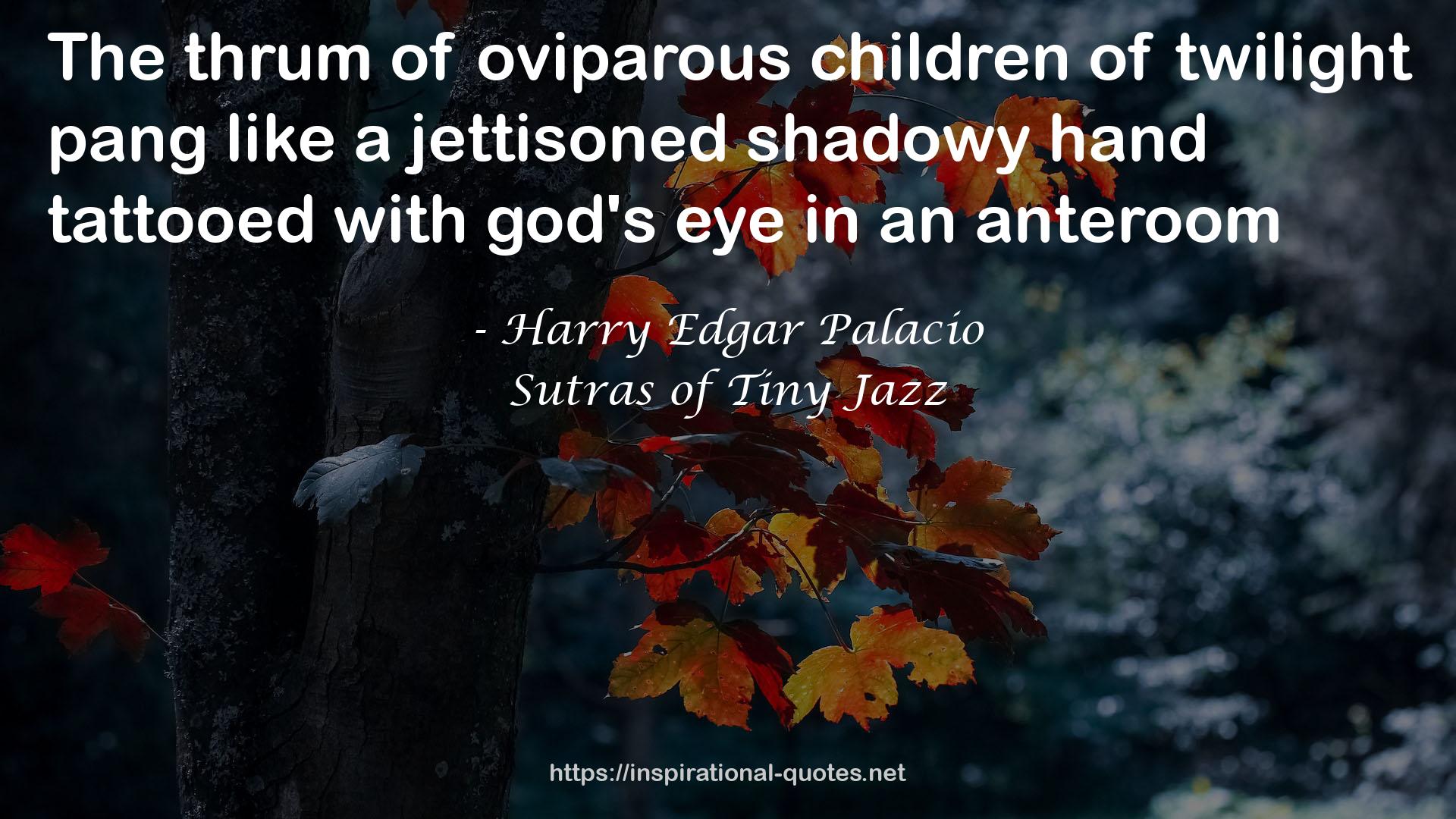 Sutras of Tiny Jazz QUOTES