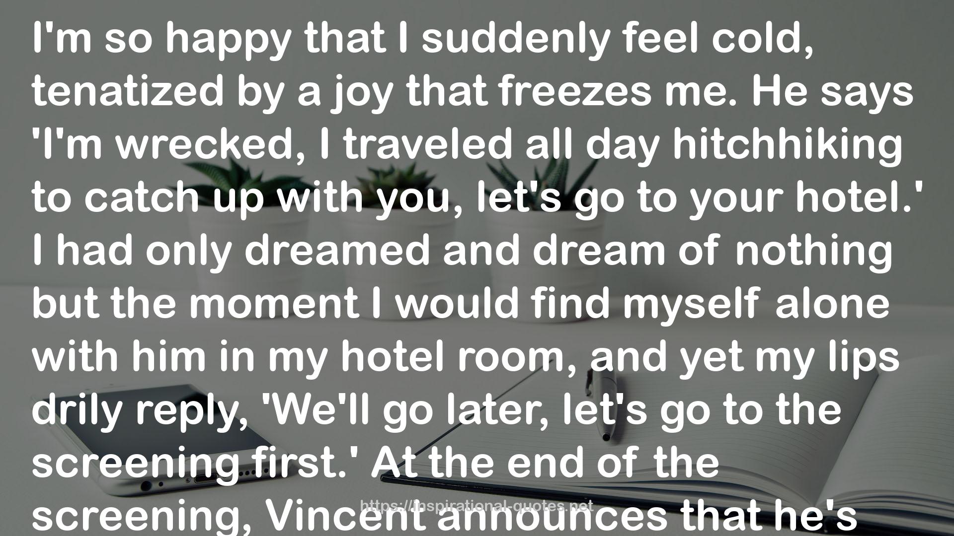 Crazy for Vincent QUOTES