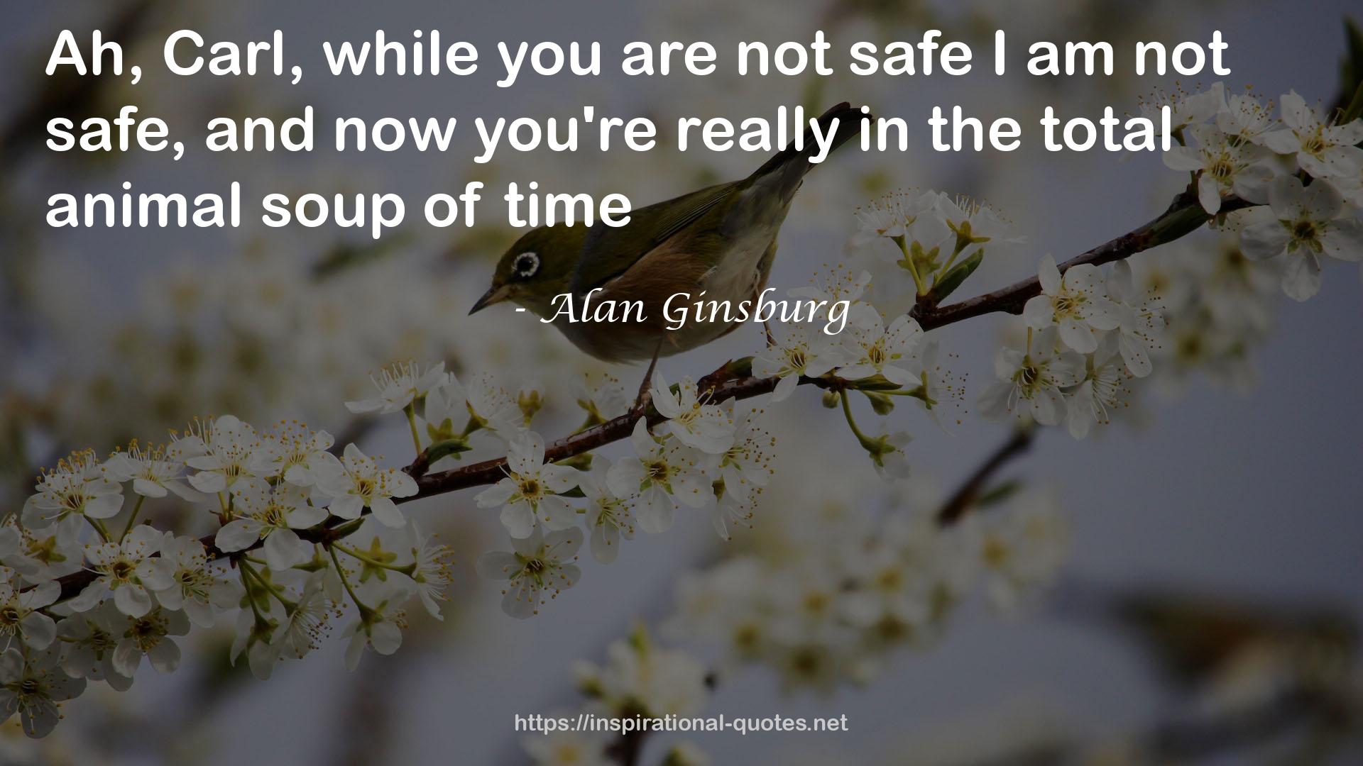 Alan Ginsburg QUOTES