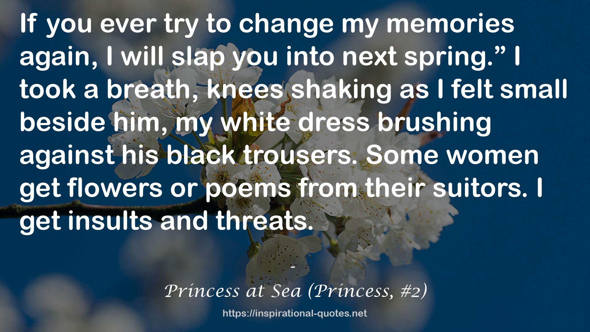 Princess at Sea (Princess, #2) QUOTES