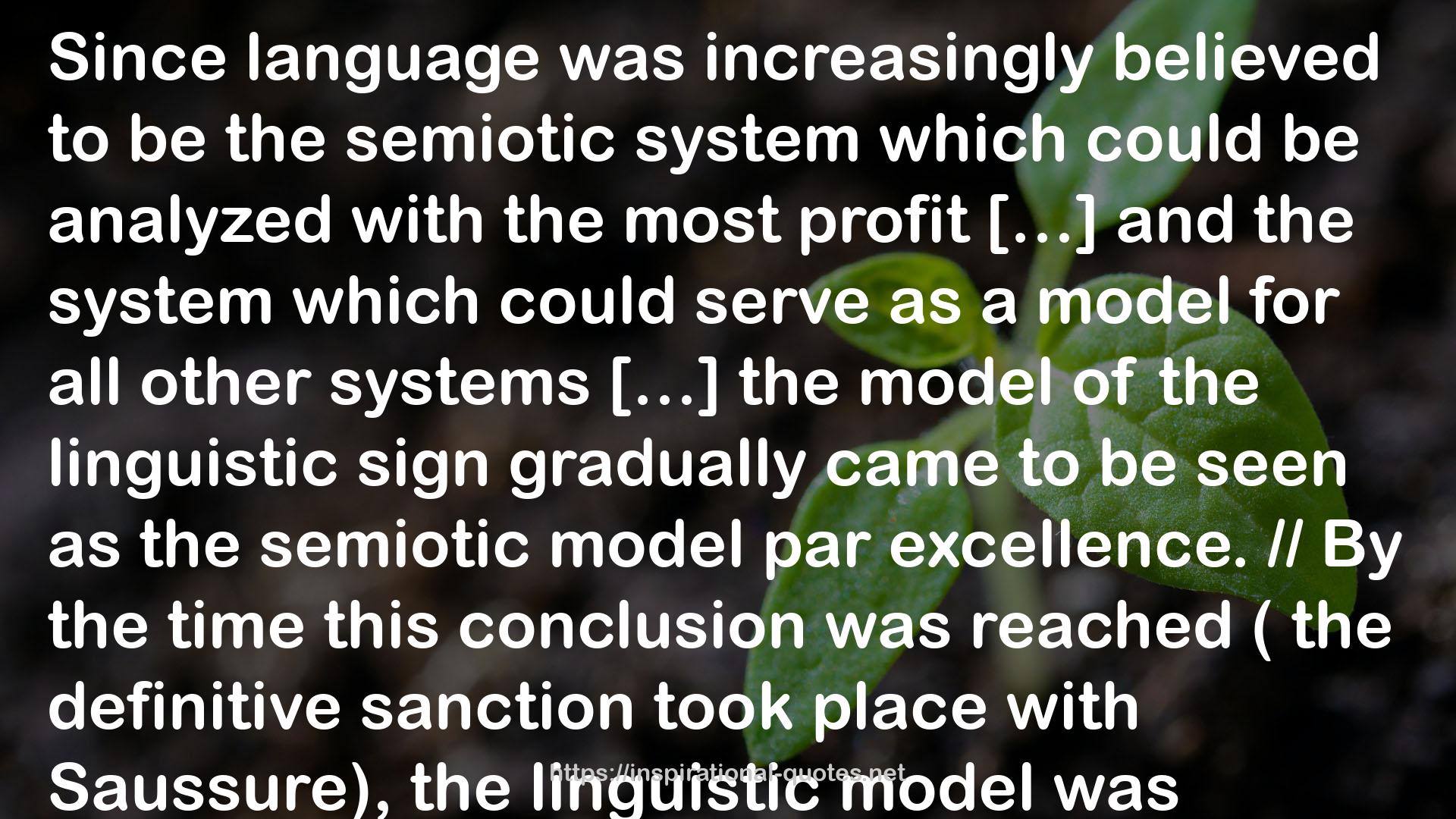 Semiotics and the Philosophy of Language QUOTES