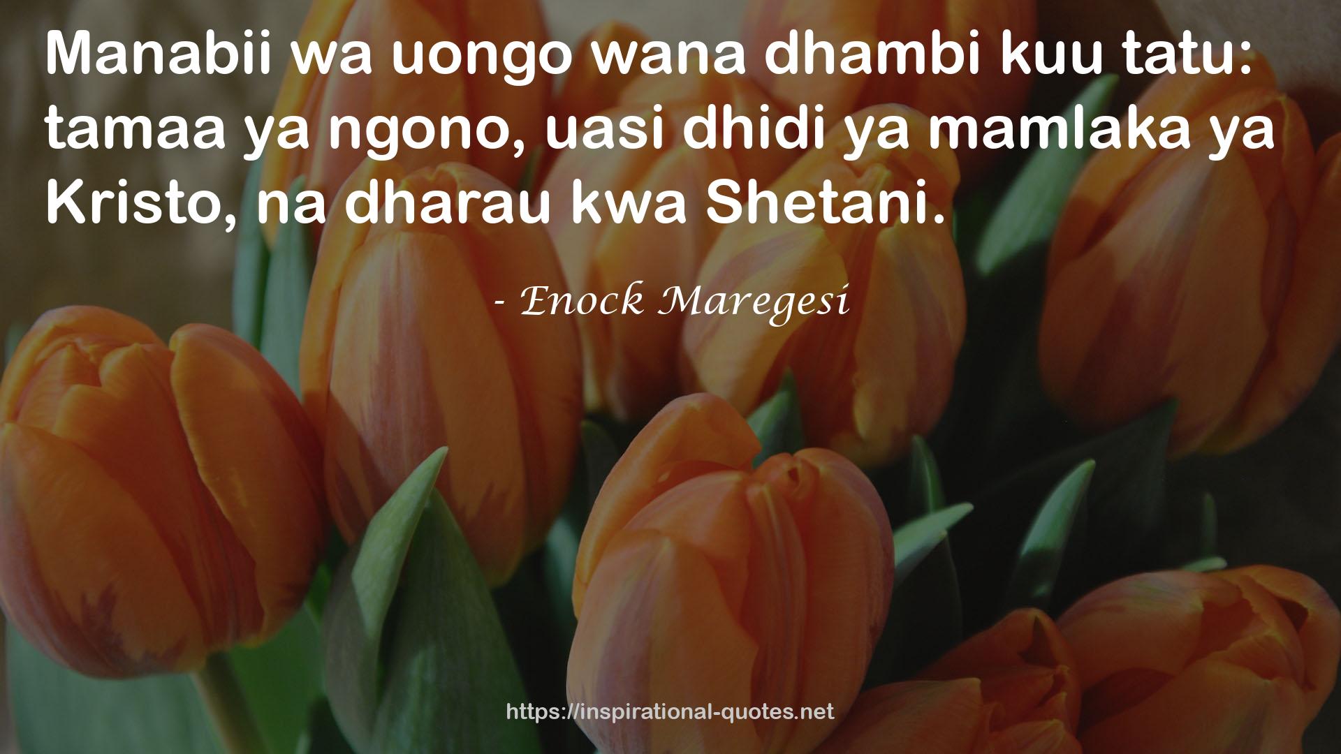 Enock Maregesi QUOTES