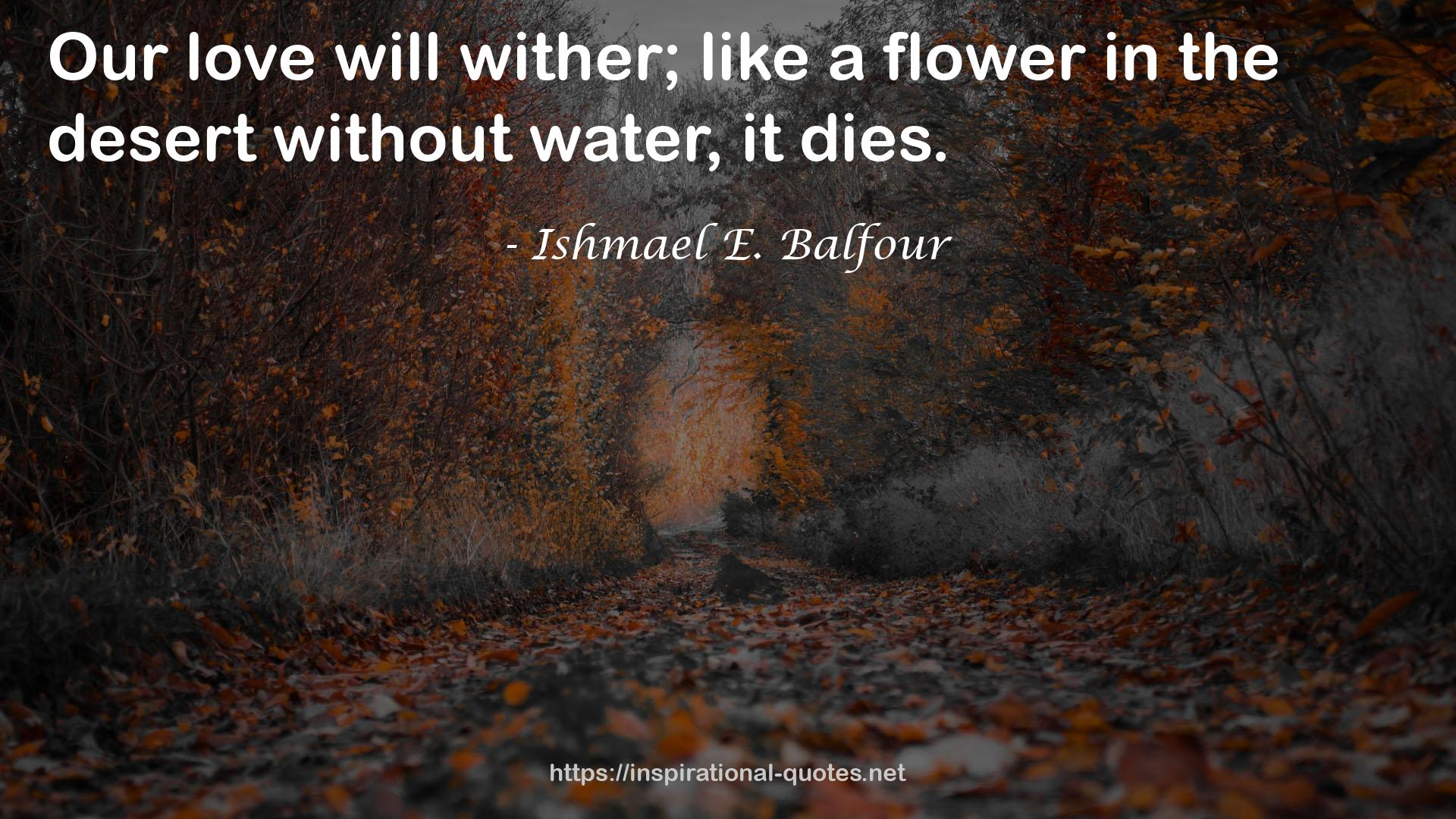 Ishmael E. Balfour QUOTES