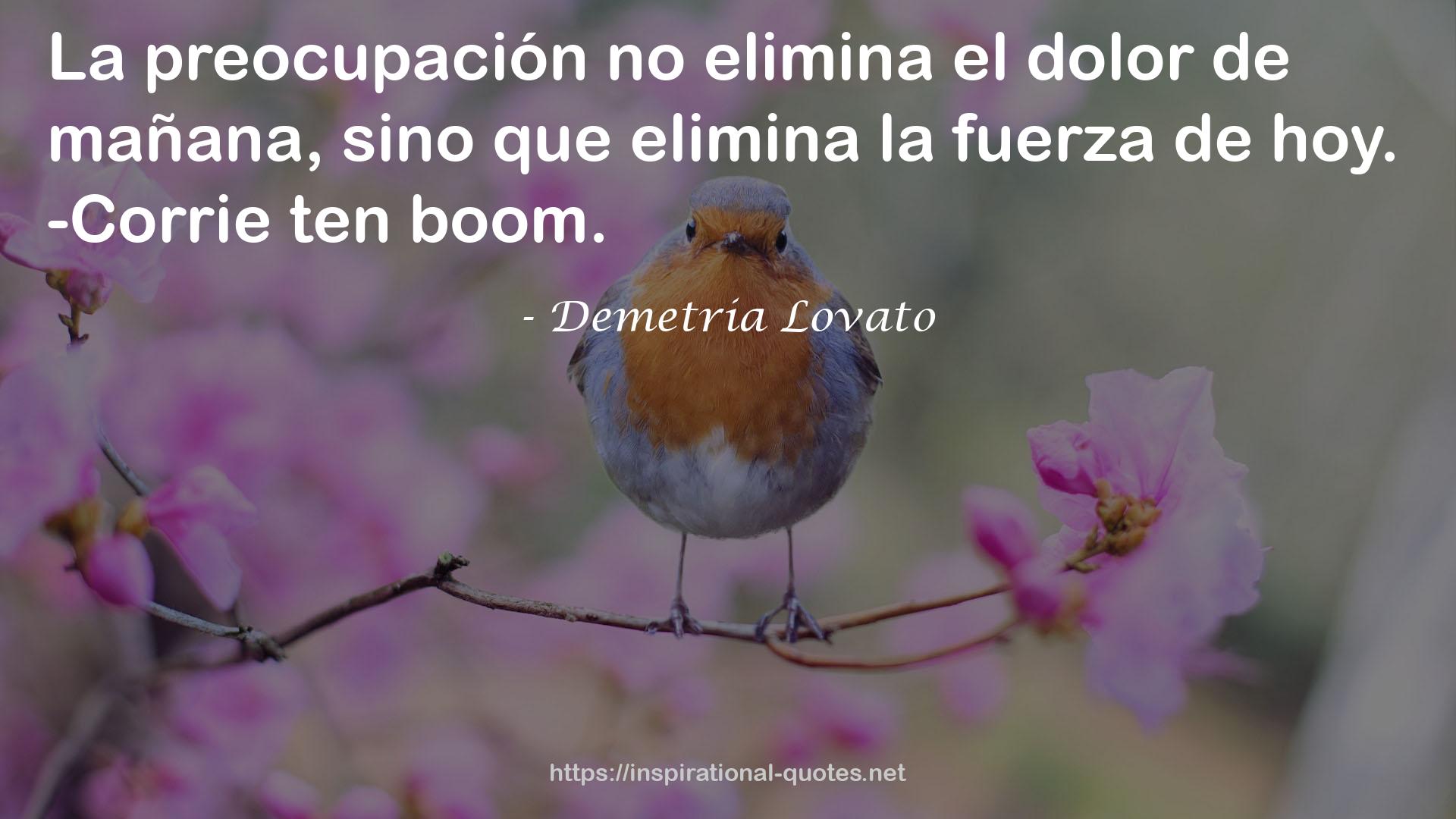 Demetria Lovato QUOTES