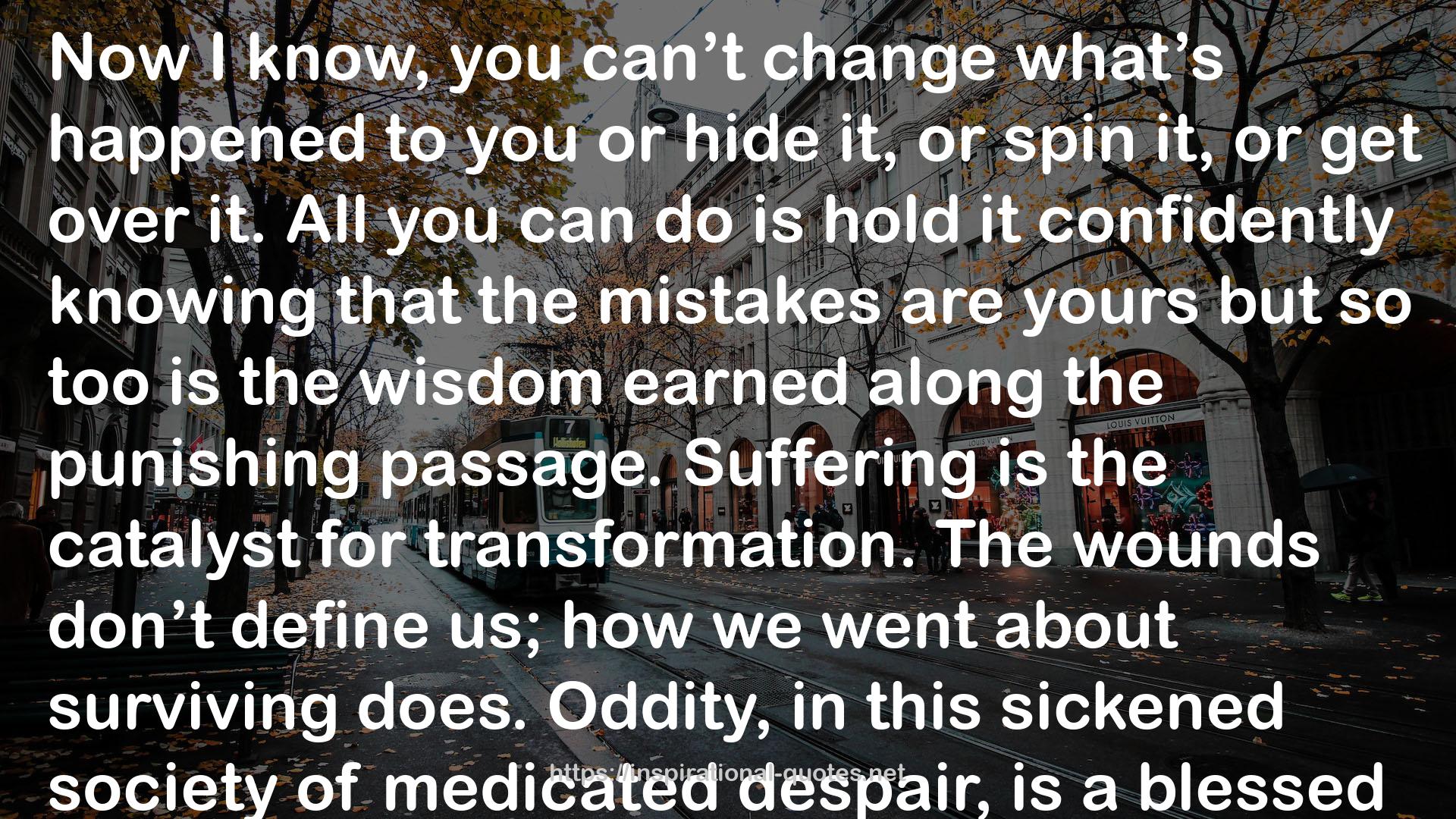 To Lose the Madness: Field Notes on Trauma, Loss and Radical Authenticity QUOTES