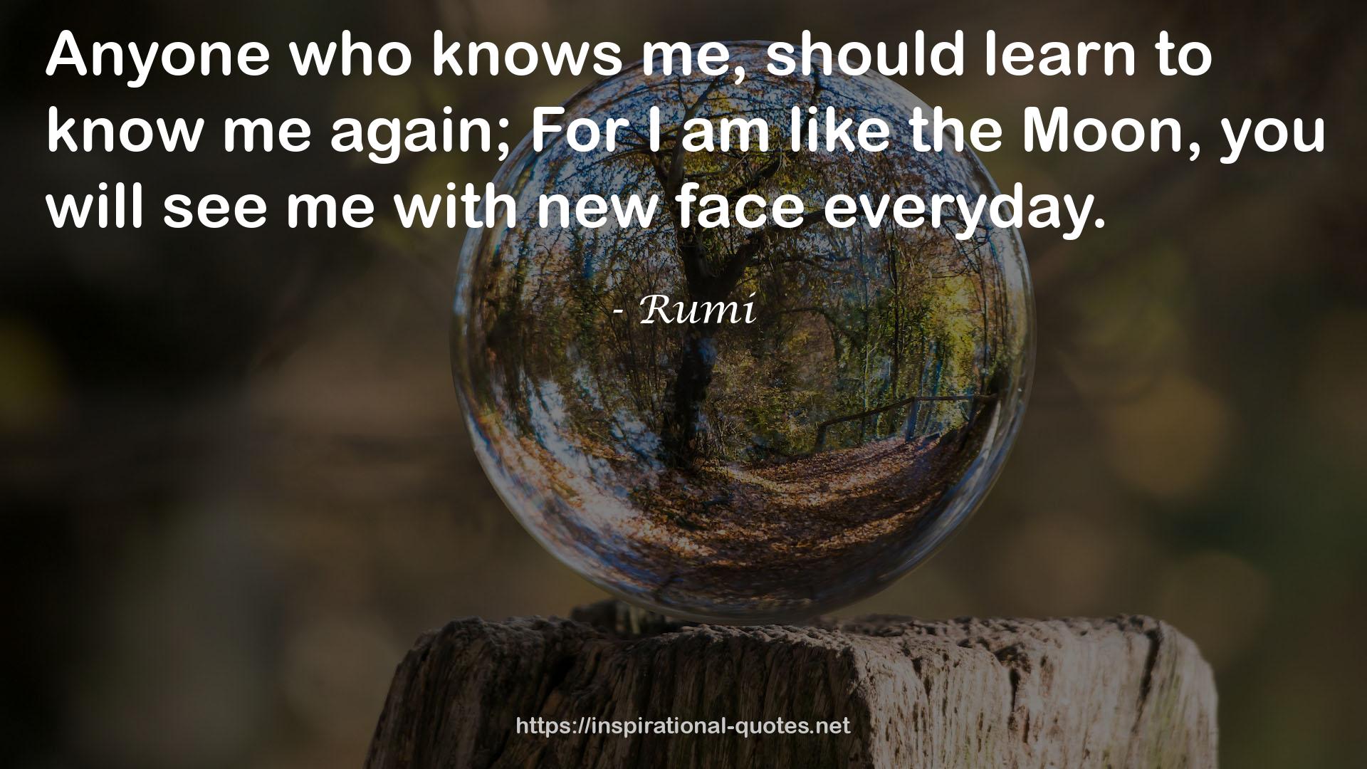 Rumi QUOTES