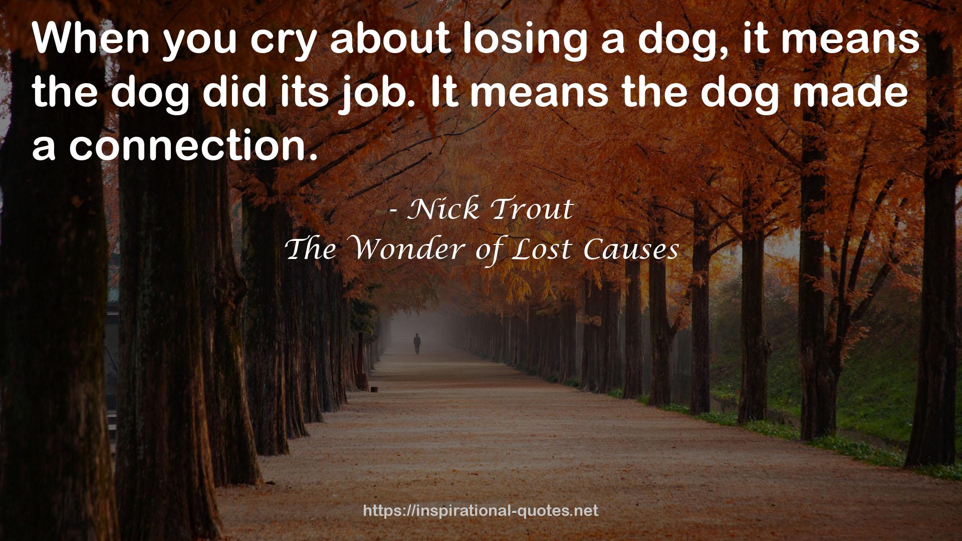 The Wonder of Lost Causes QUOTES