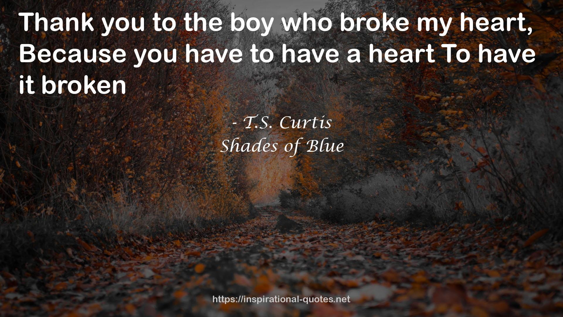 Shades of Blue QUOTES