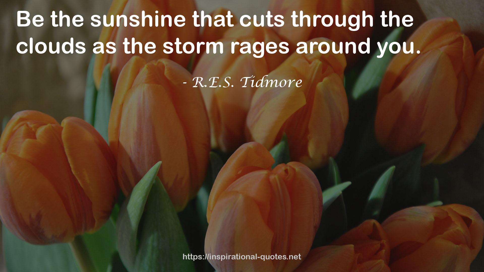 R.E.S. Tidmore QUOTES