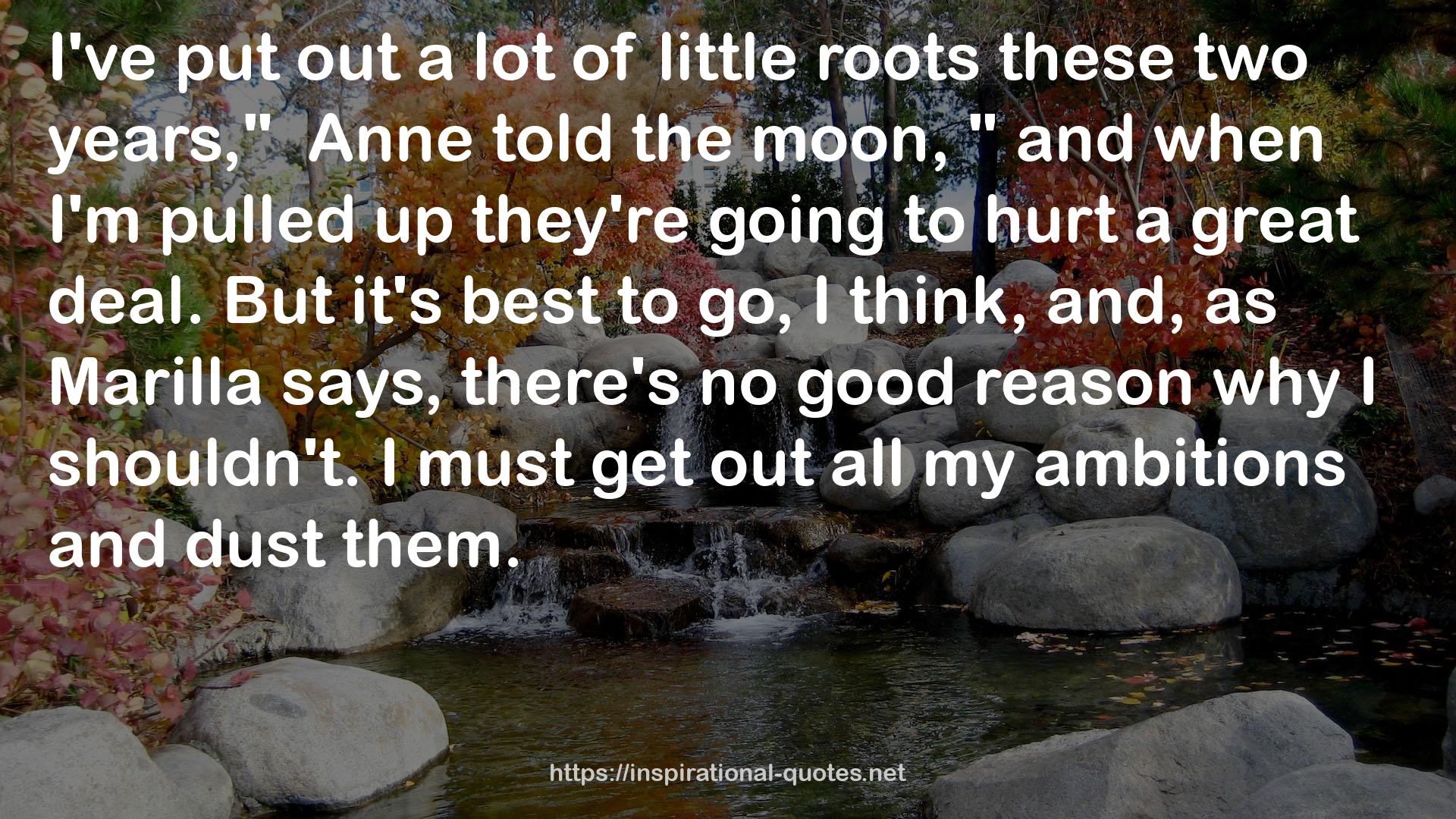 little roots  QUOTES