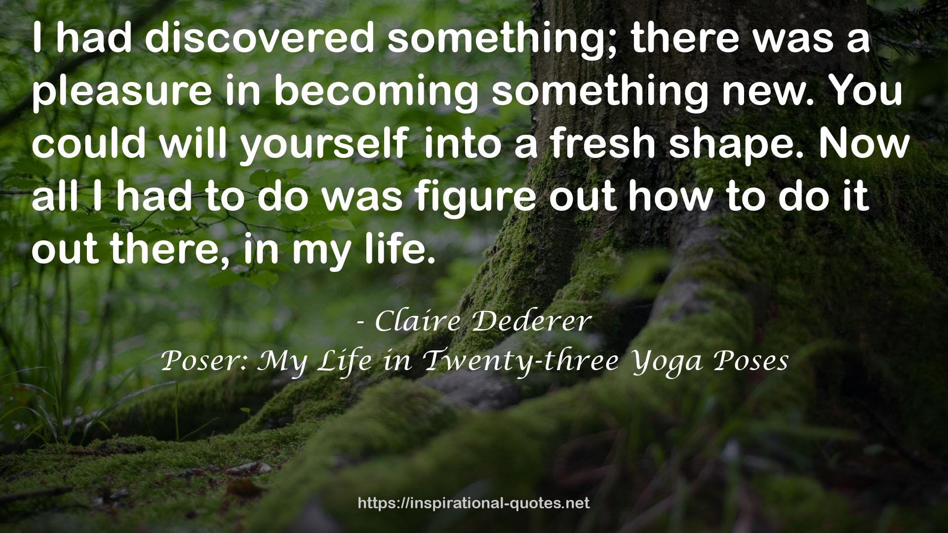 Claire Dederer QUOTES