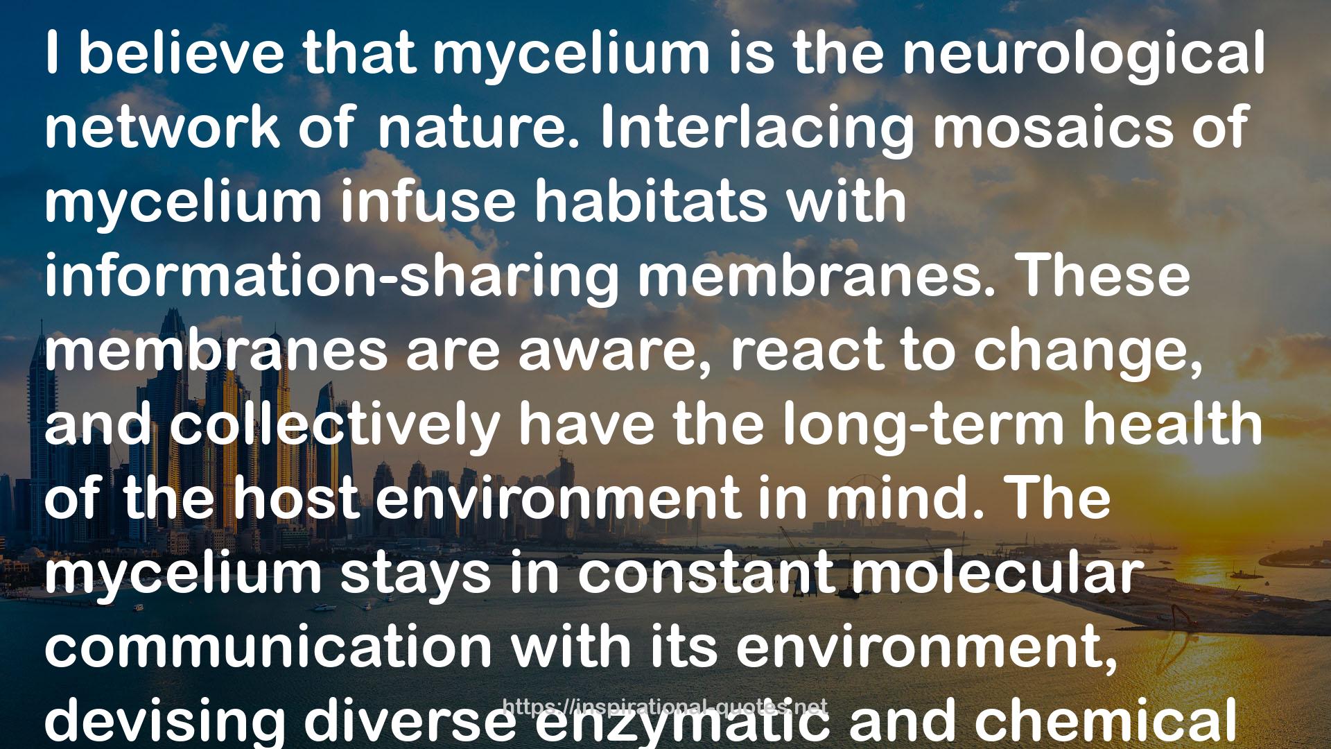 Mycelium Running: How Mushrooms Can Help Save the World QUOTES