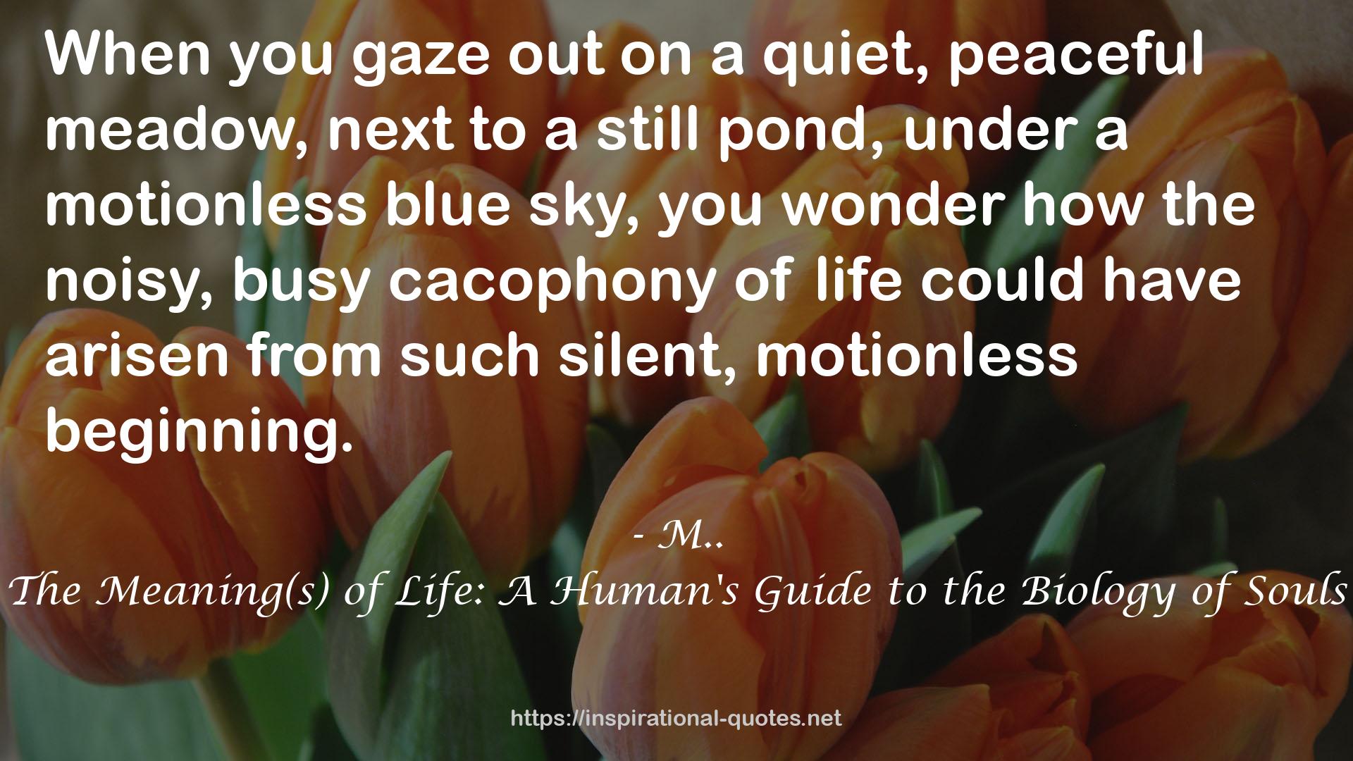 The Meaning(s) of Life: A Human's Guide to the Biology of Souls QUOTES