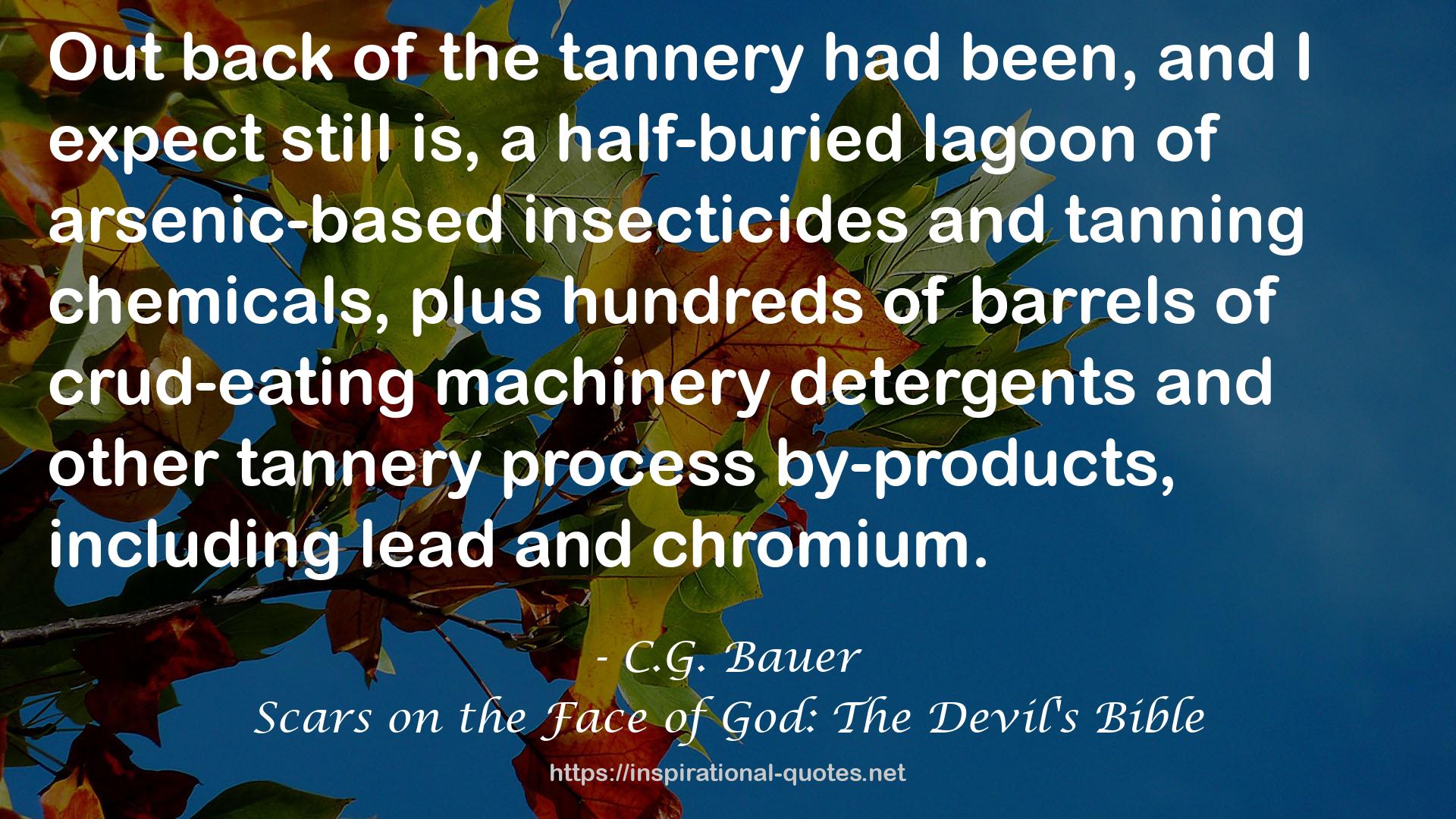 Scars on the Face of God: The Devil's Bible QUOTES