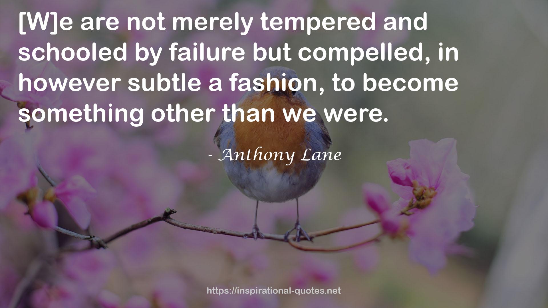 Anthony Lane QUOTES