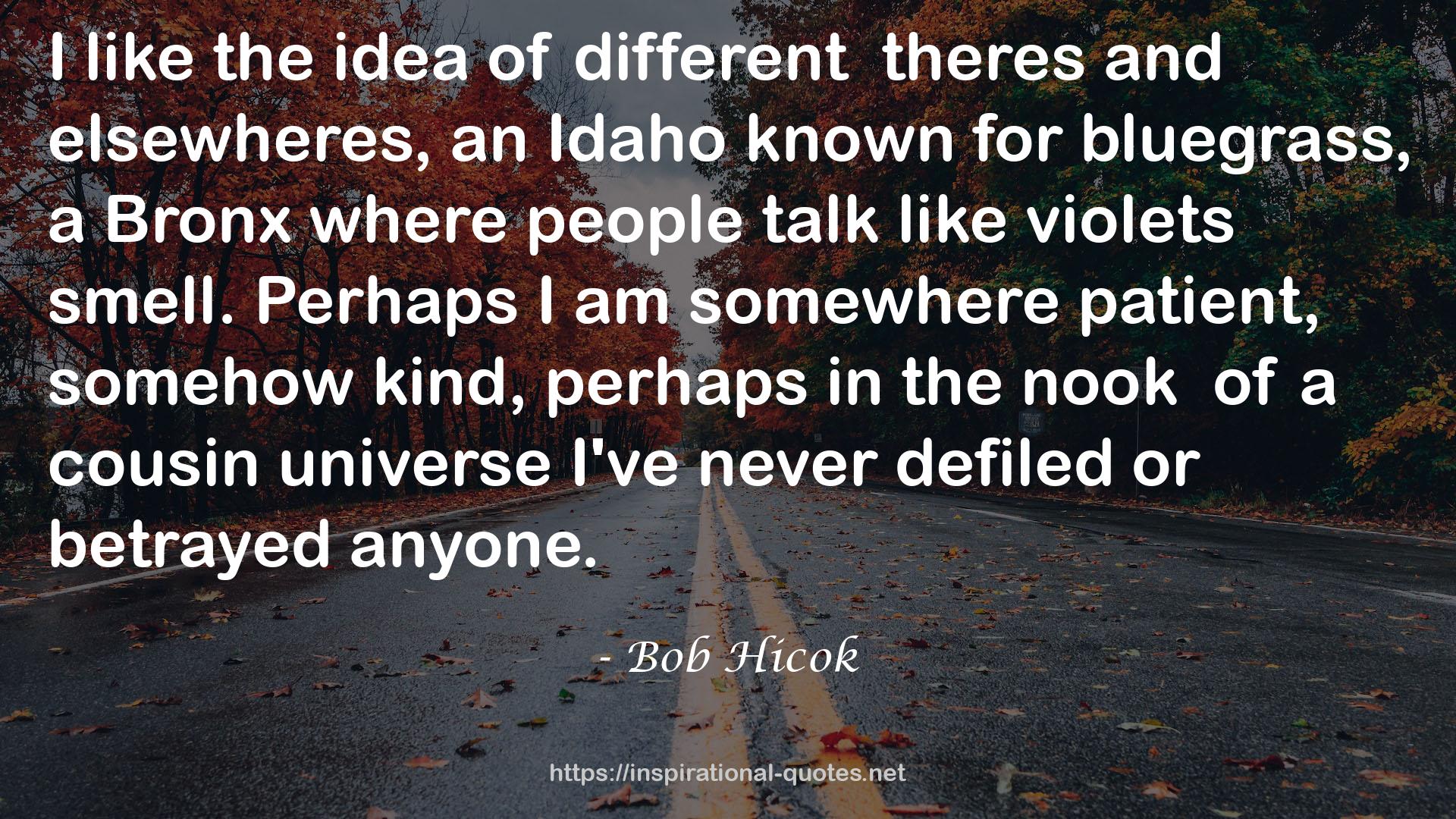 Bob Hicok QUOTES