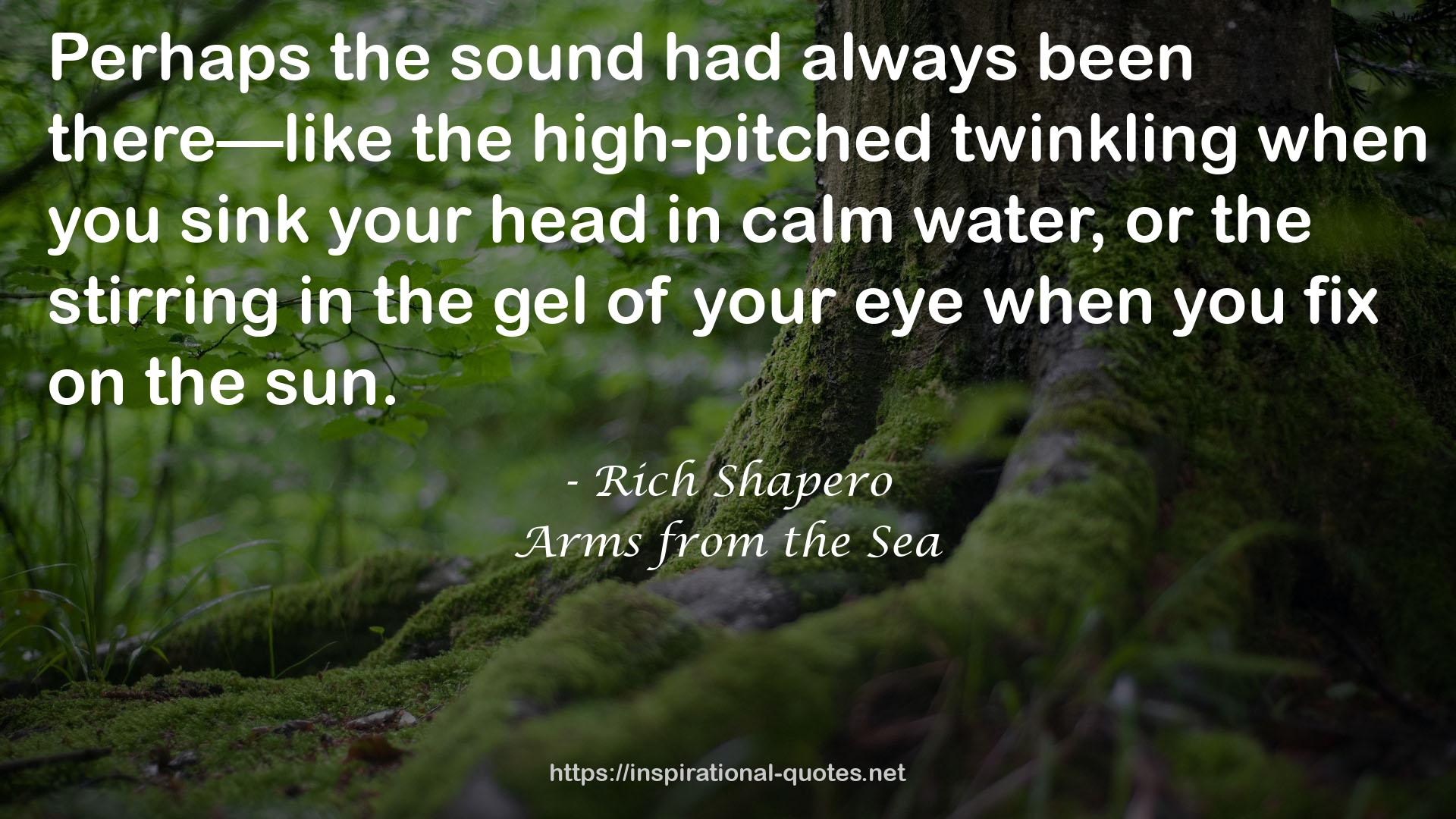 Arms from the Sea QUOTES