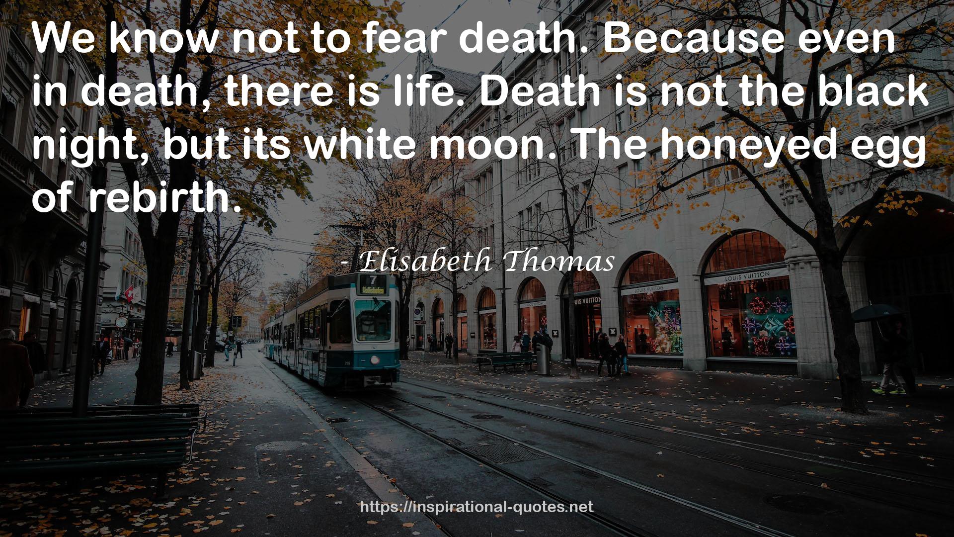 Elisabeth Thomas QUOTES