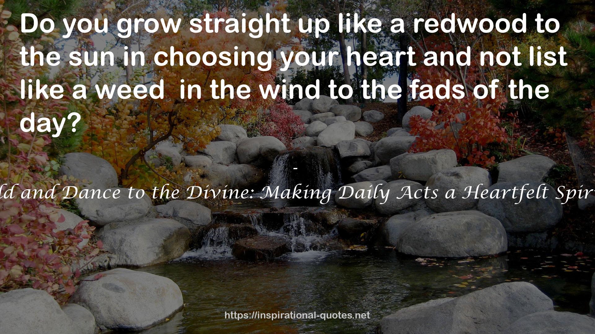 Be Still, Behold and Dance to the Divine: Making Daily Acts a Heartfelt Spiritual Practice QUOTES