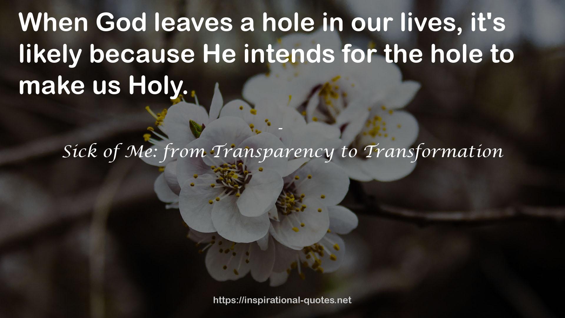 Sick of Me: from Transparency to Transformation QUOTES