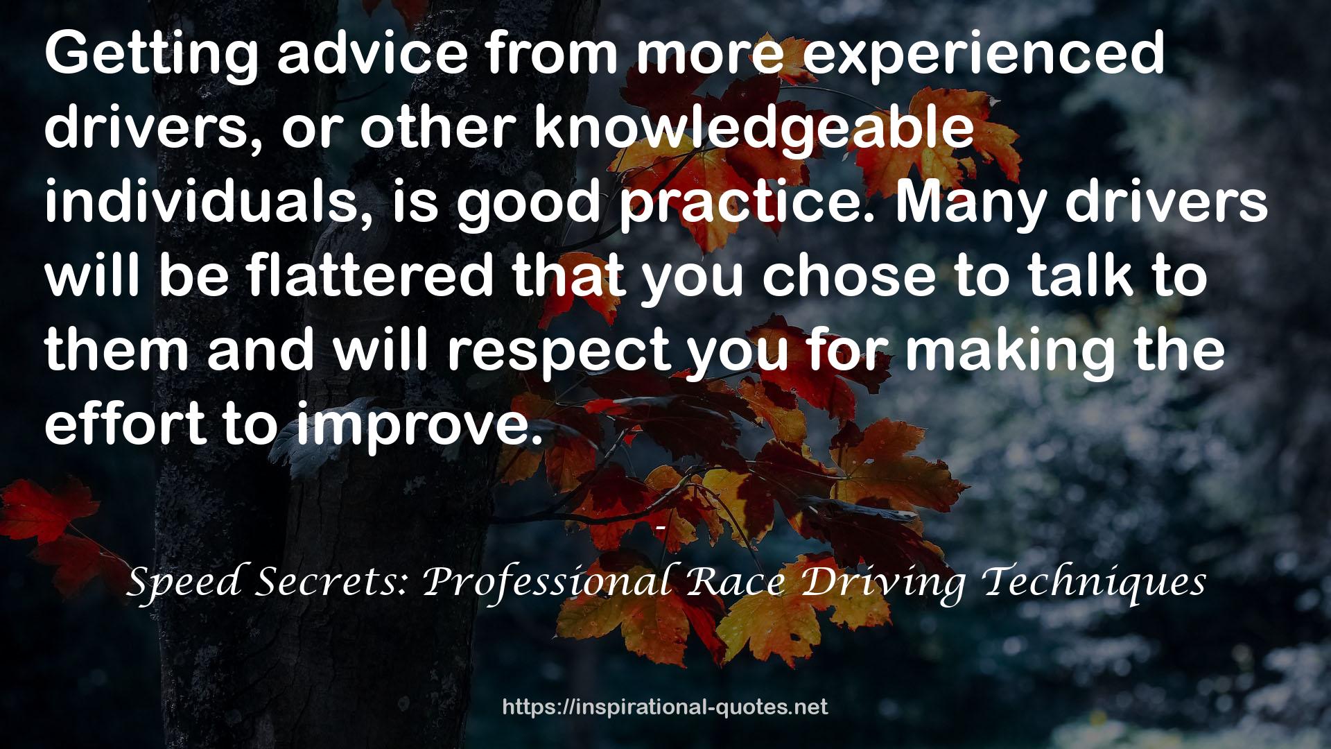 Speed Secrets: Professional Race Driving Techniques QUOTES