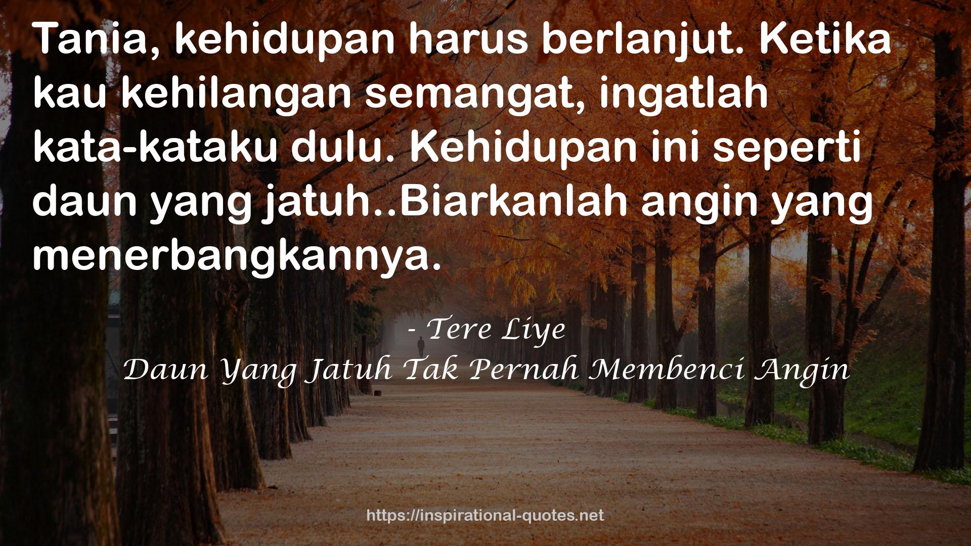 Daun Yang Jatuh Tak Pernah Membenci Angin QUOTES