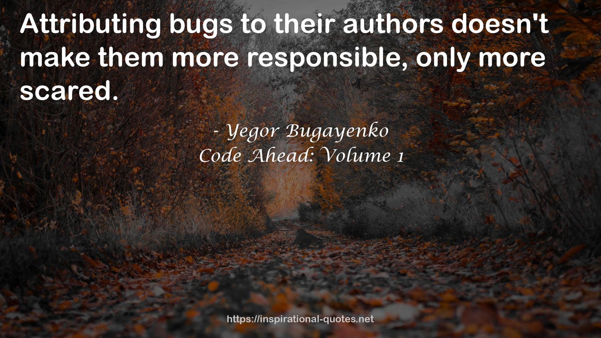 Yegor Bugayenko QUOTES