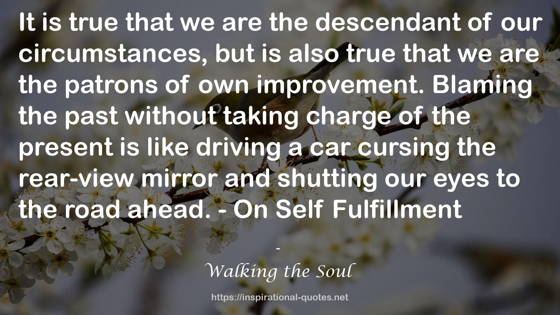 Walking the Soul QUOTES