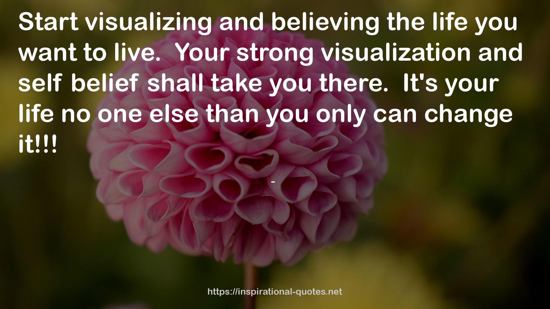 visualization  QUOTES