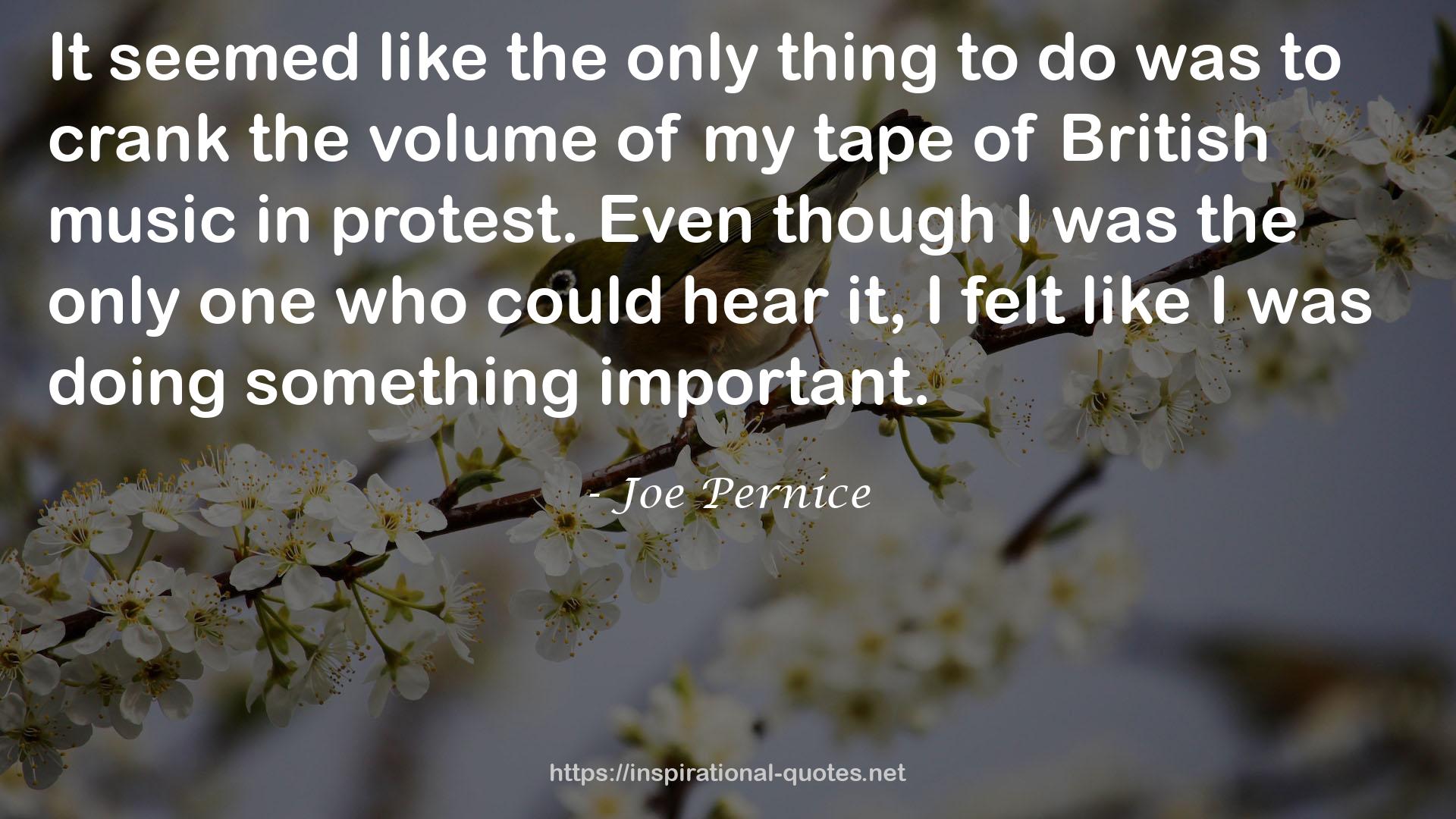 Joe Pernice QUOTES