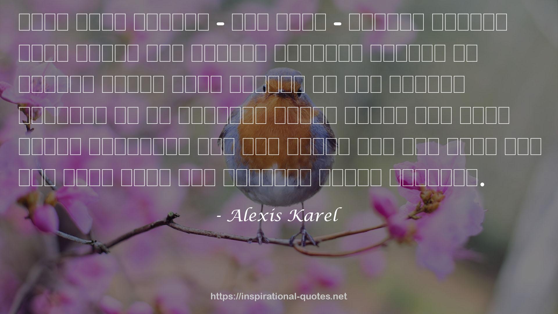 Alexis Karel QUOTES