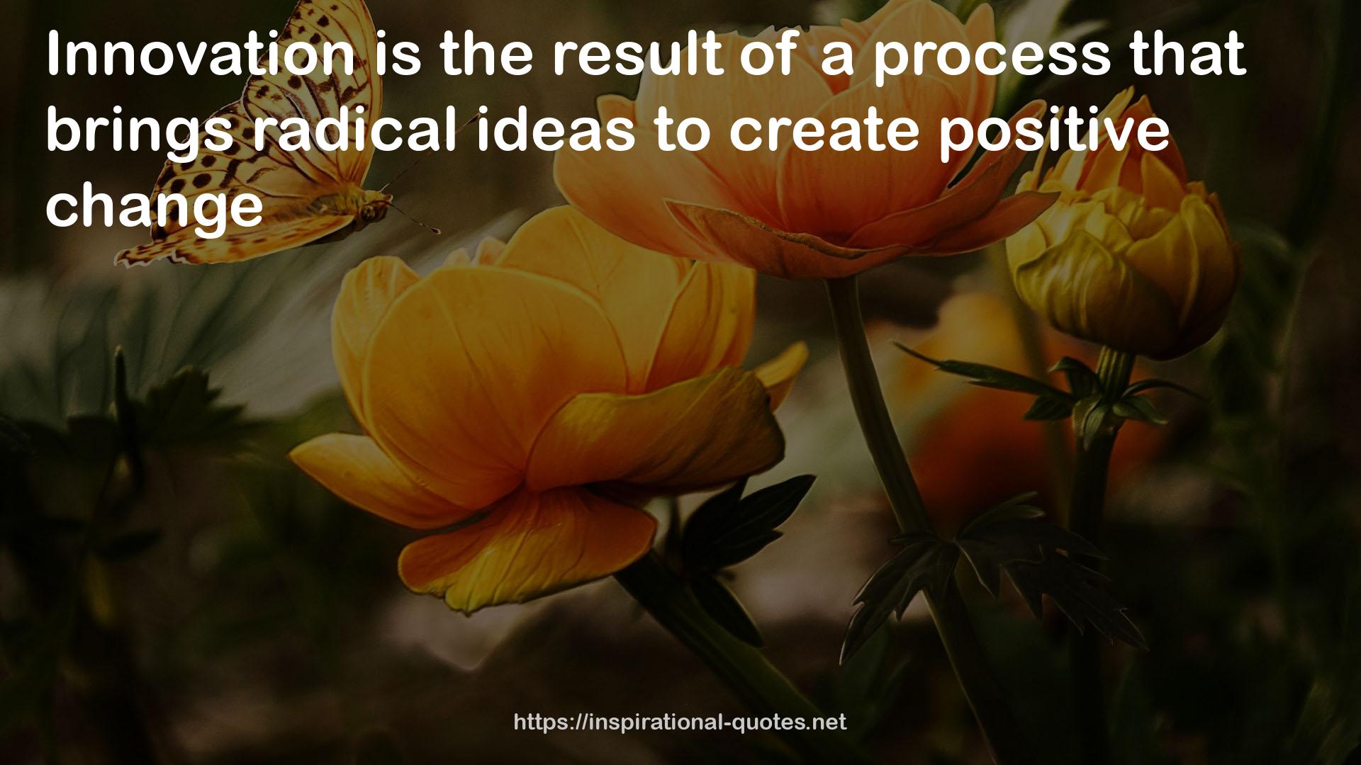 radical ideas  QUOTES