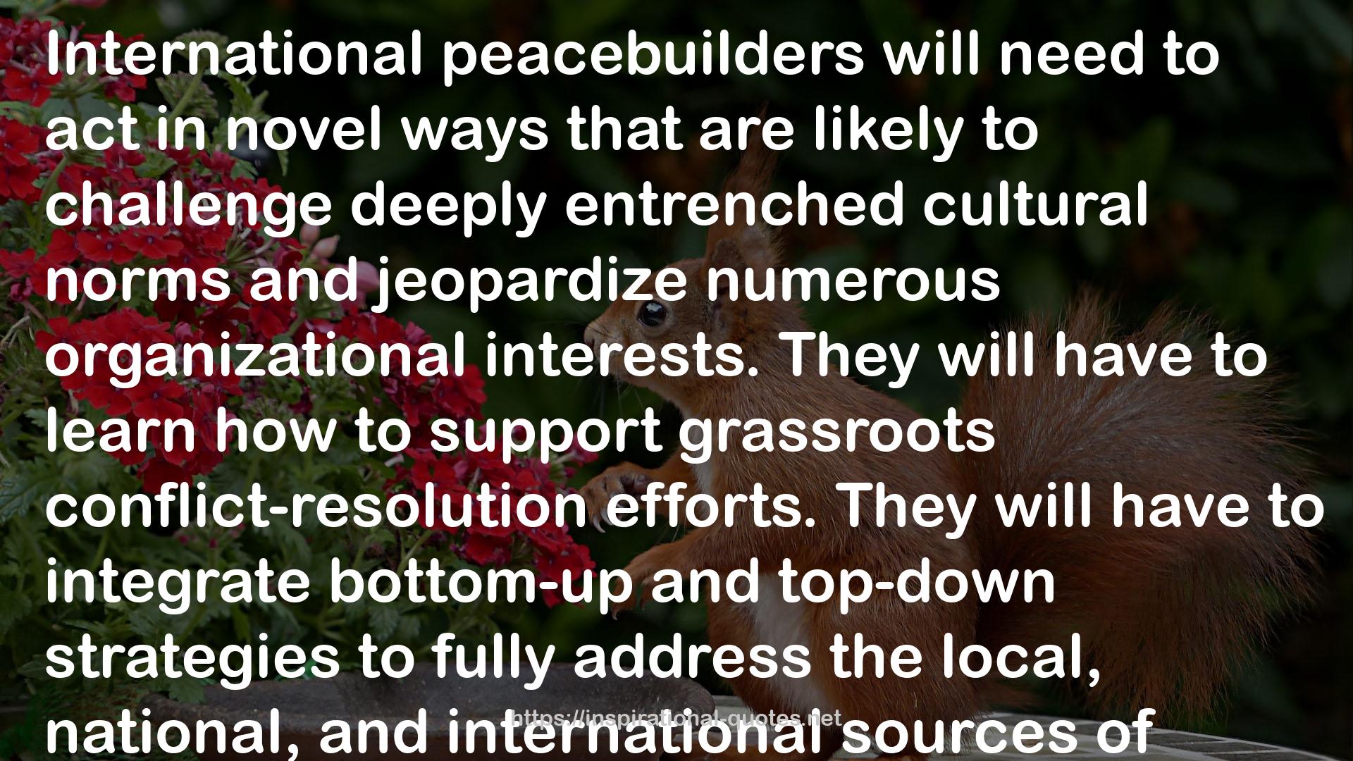 The Trouble with the Congo: Local Violence and the Failure of International Peacebuilding QUOTES