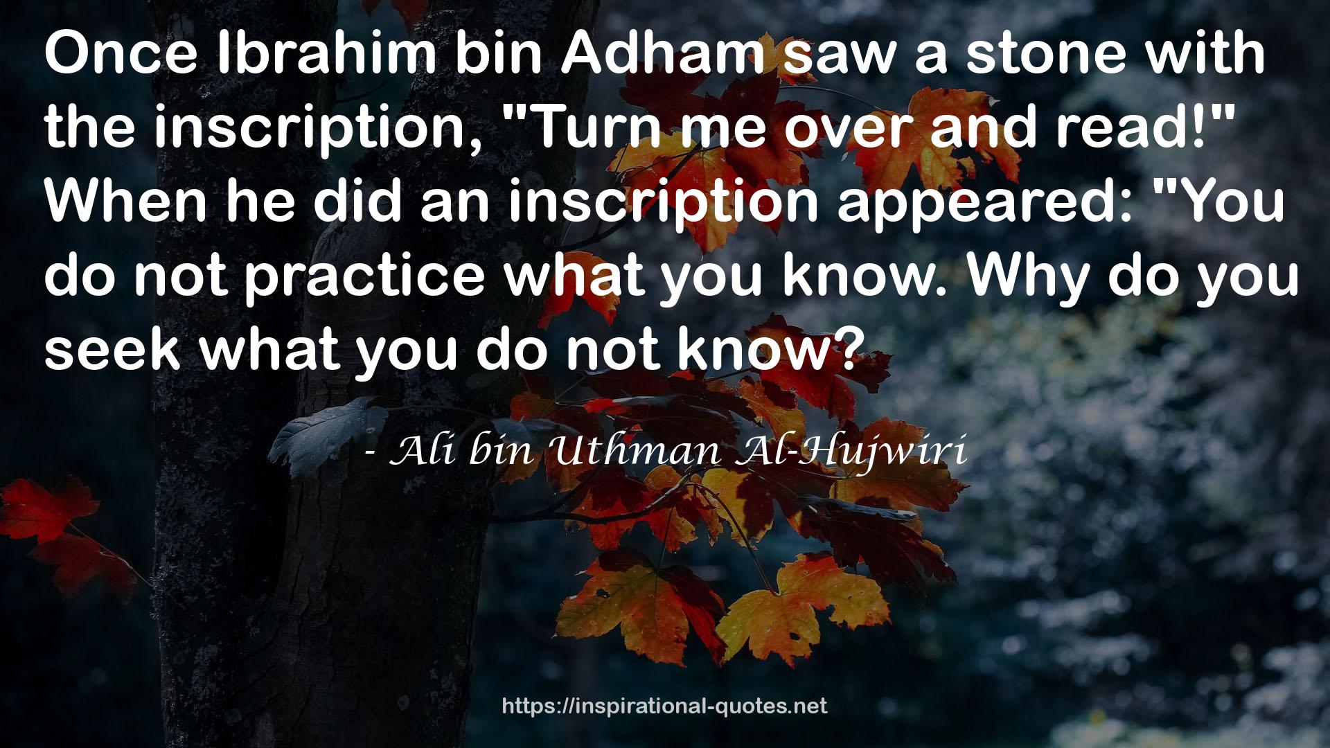 Ali bin Uthman Al-Hujwiri QUOTES