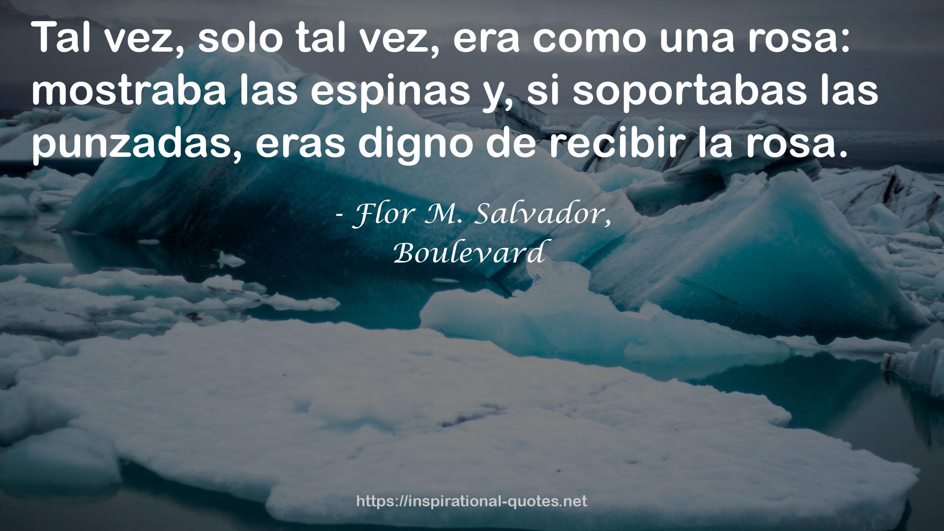 Boulevard QUOTES