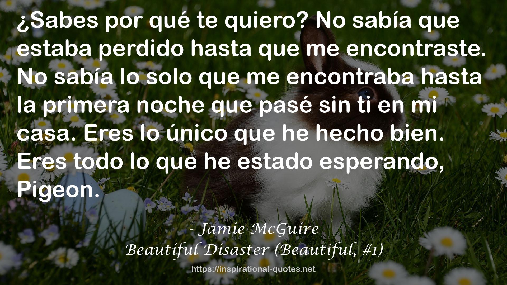 Beautiful Disaster (Beautiful, #1) QUOTES