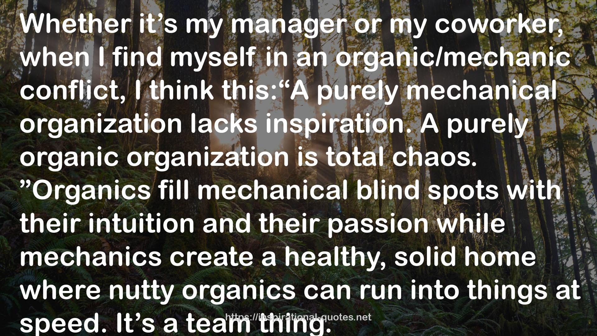 Managing Humans: Biting and Humorous Tales of a Software Engineering Manager QUOTES