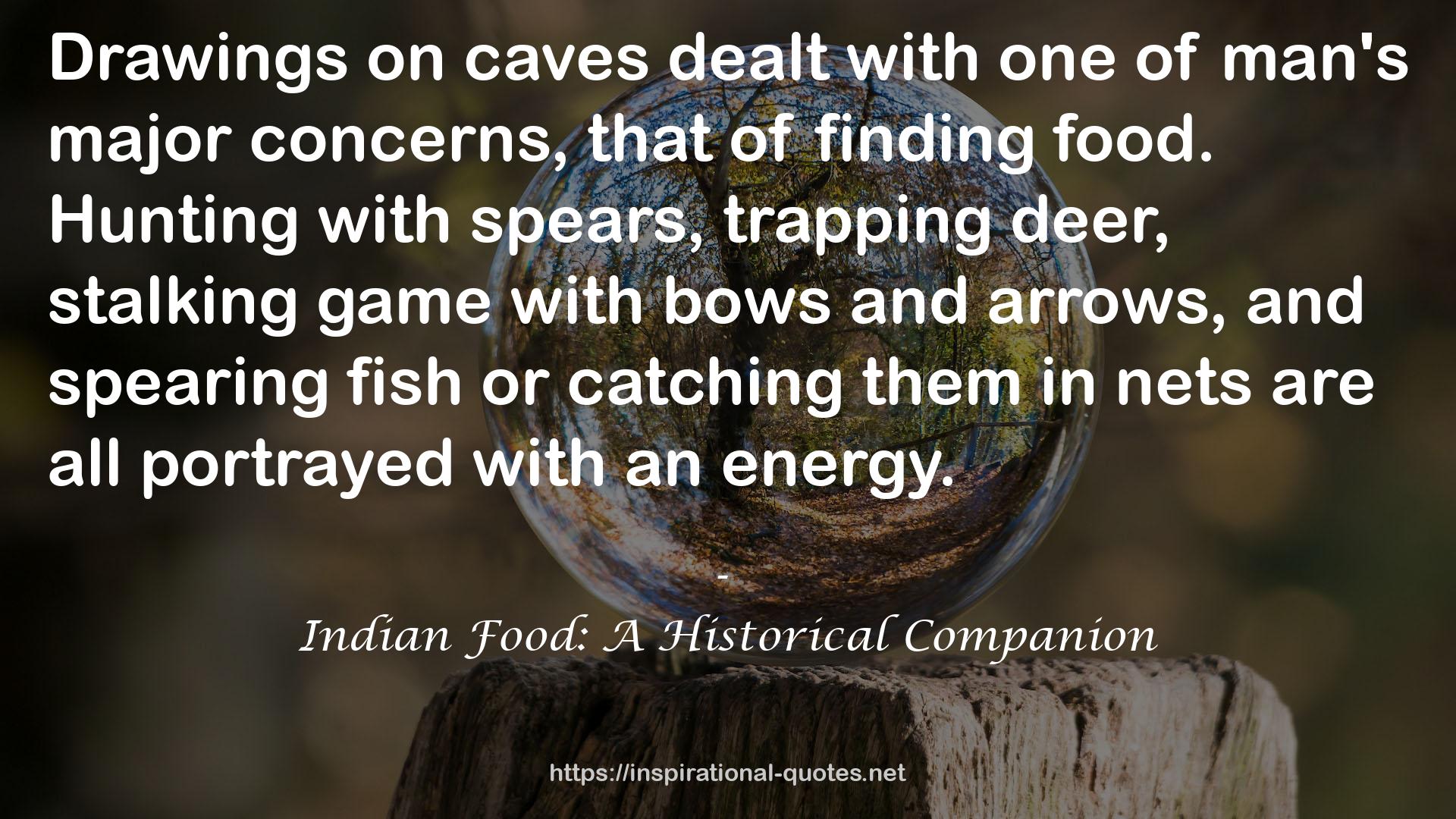 Indian Food: A Historical Companion QUOTES