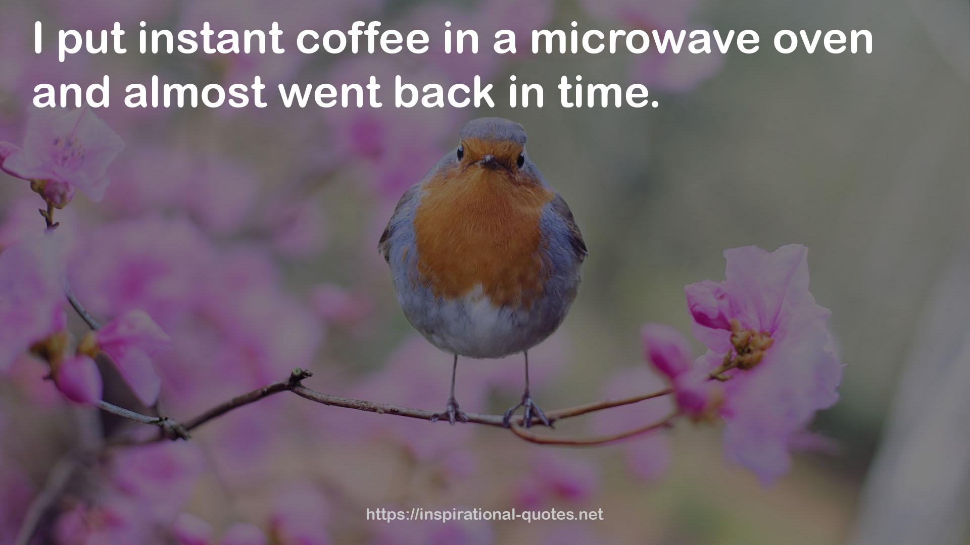 a microwave oven  QUOTES