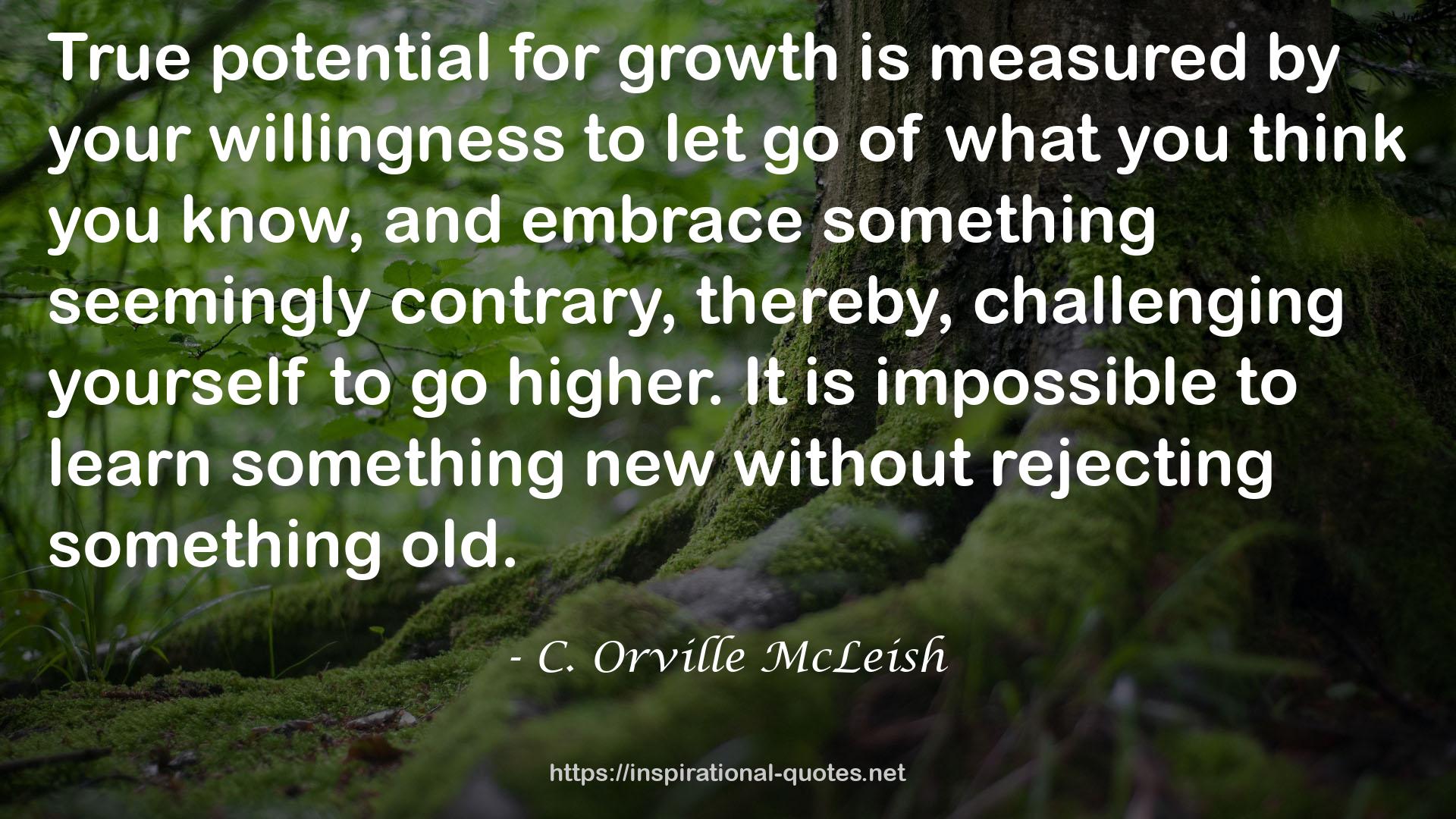 C. Orville McLeish QUOTES