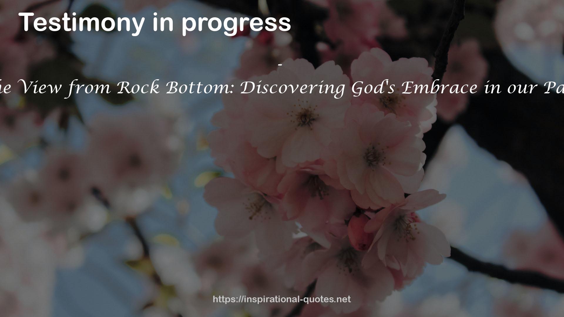 The View from Rock Bottom: Discovering God's Embrace in our Pain QUOTES