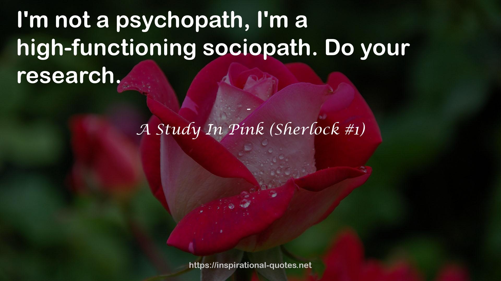 a high-functioning sociopath  QUOTES